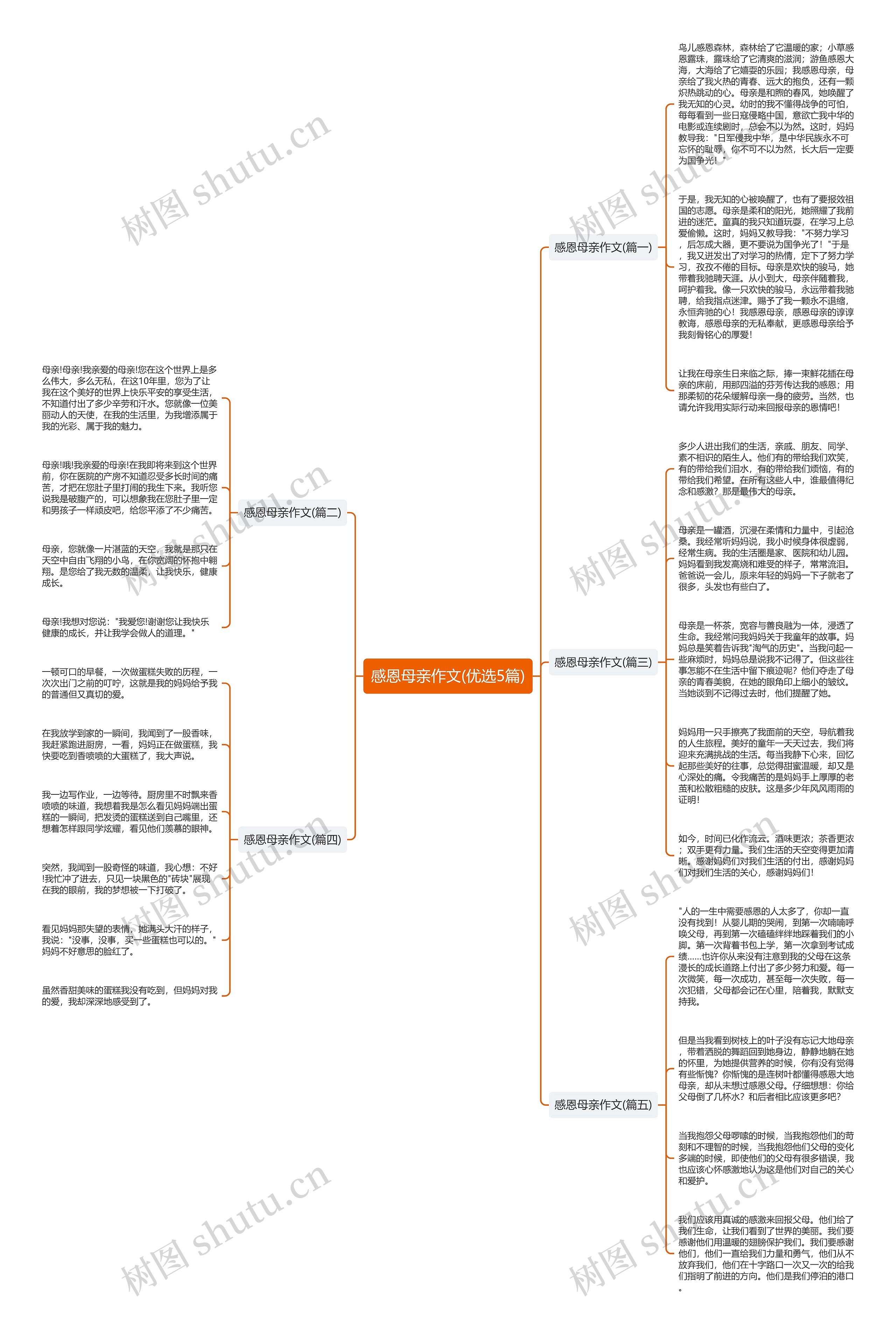 感恩母亲作文(优选5篇)思维导图