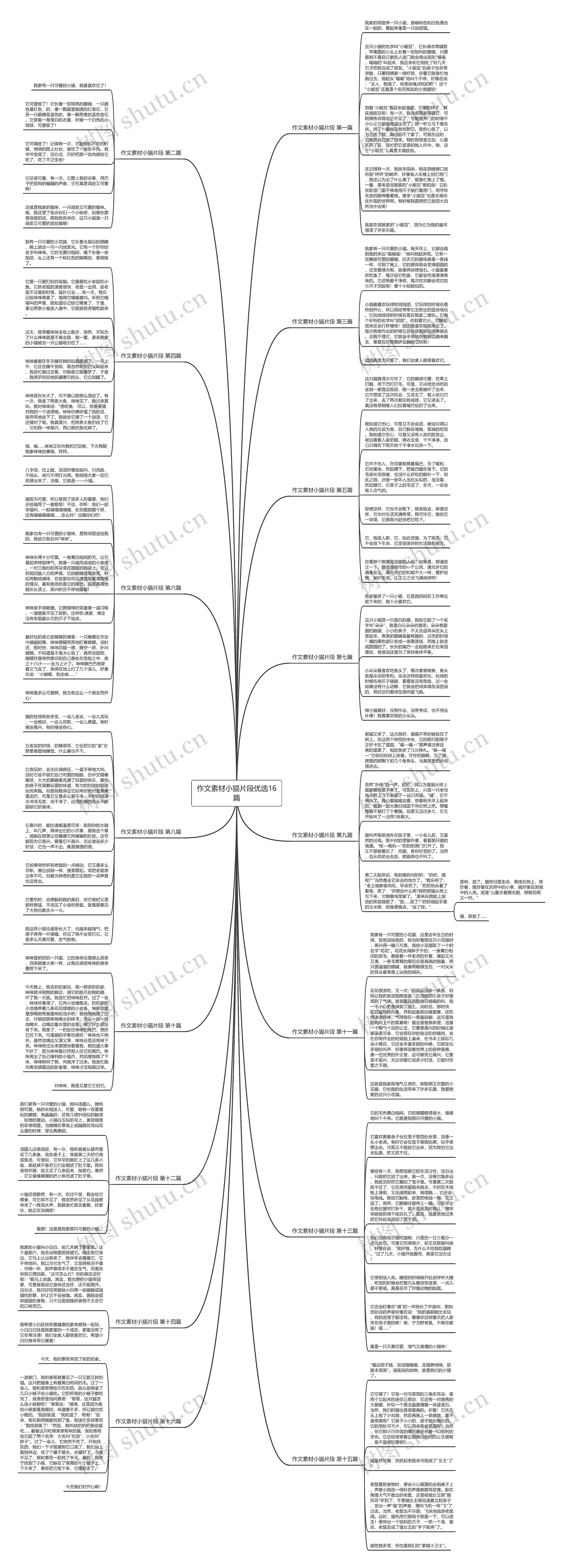 作文素材小猫片段优选16篇