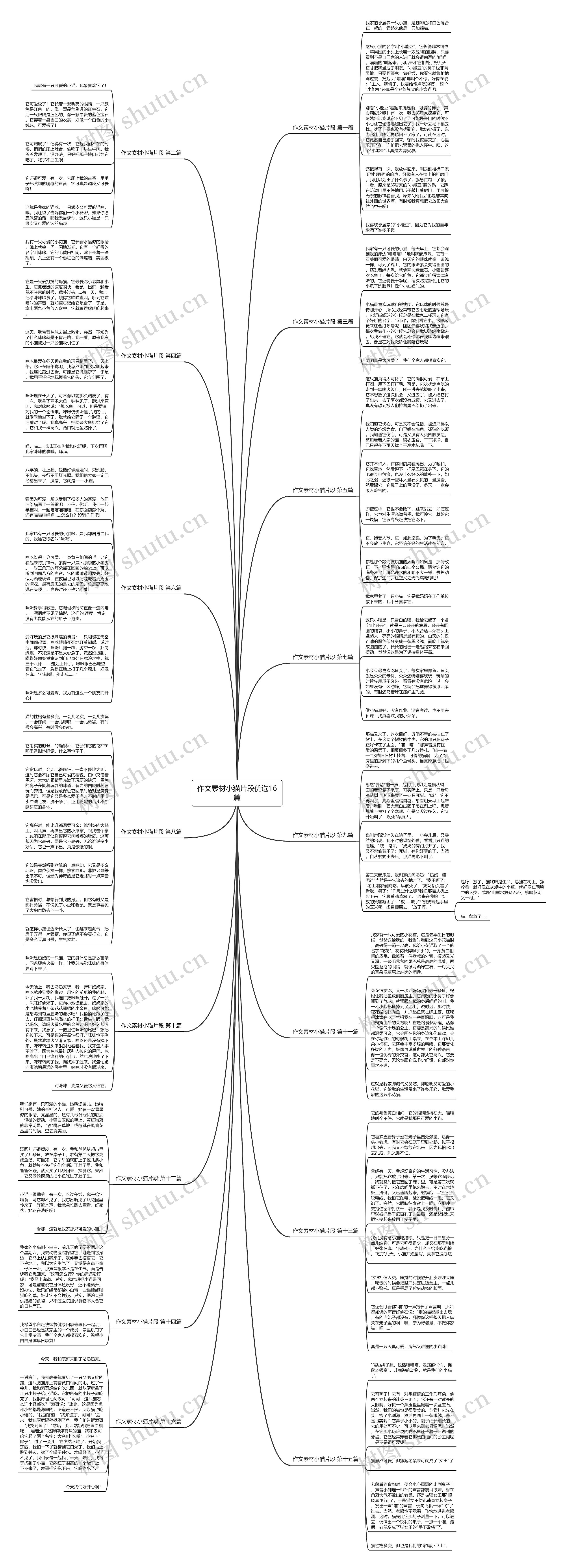 作文素材小猫片段优选16篇 作文素材小猫片段优选16篇