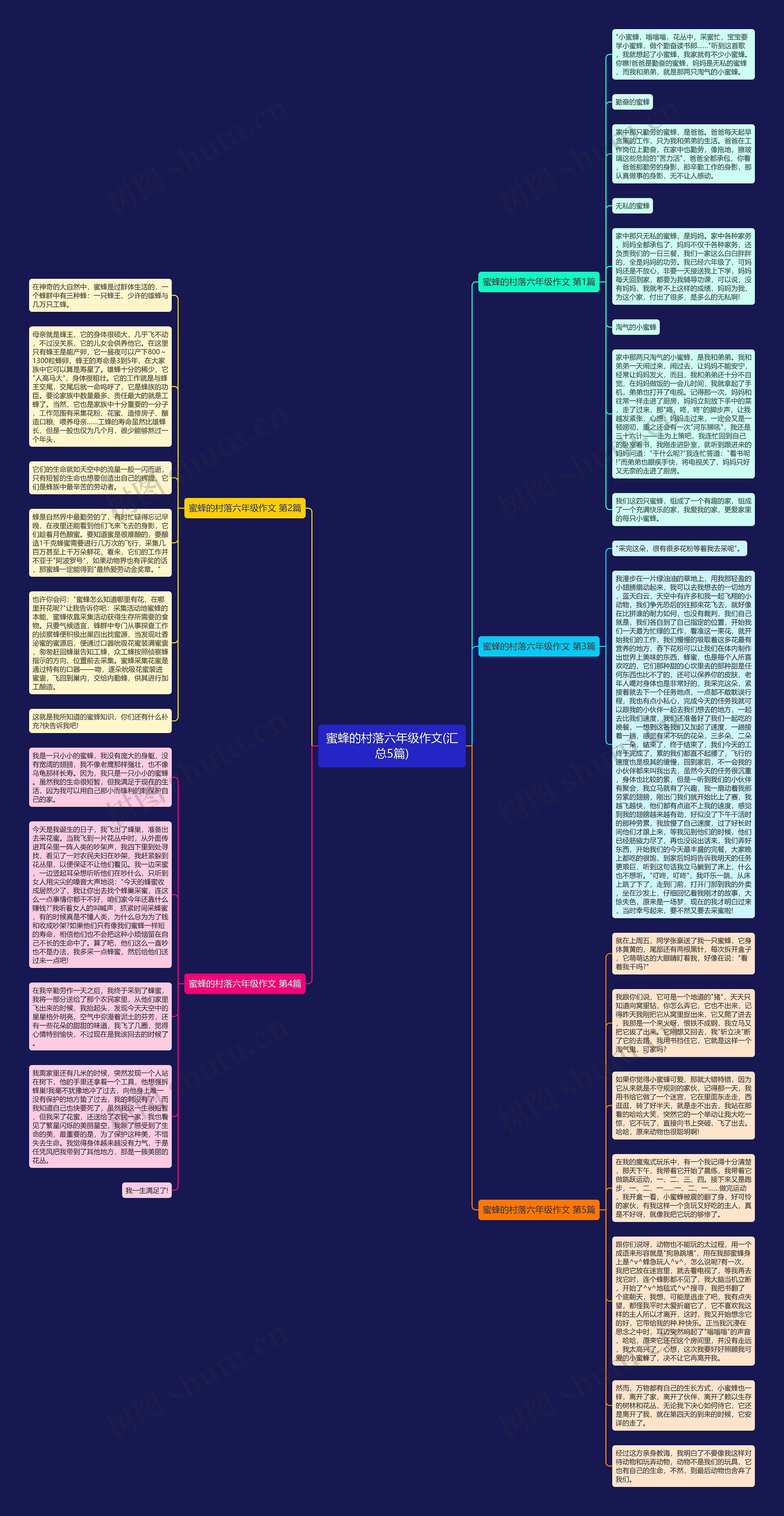 蜜蜂的村落六年级作文(汇总5篇)思维导图