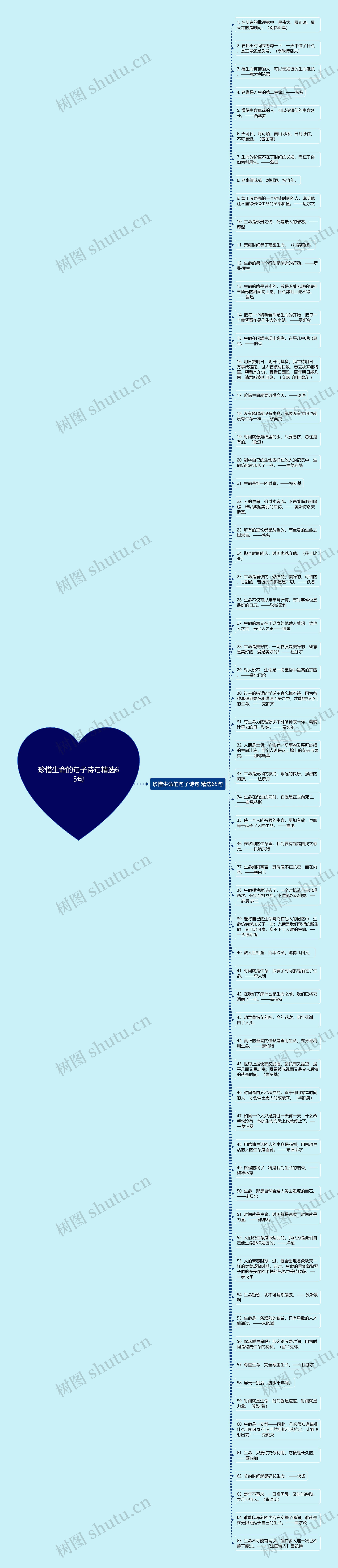 珍惜生命的句子诗句精选65句思维导图