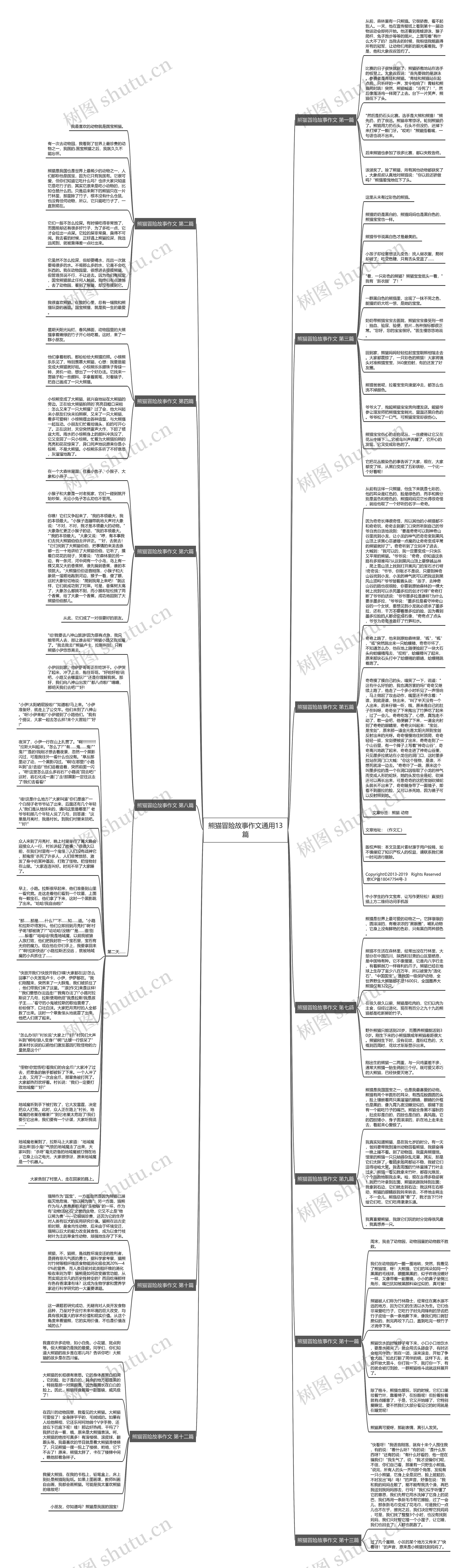 熊猫冒险故事作文通用13篇思维导图