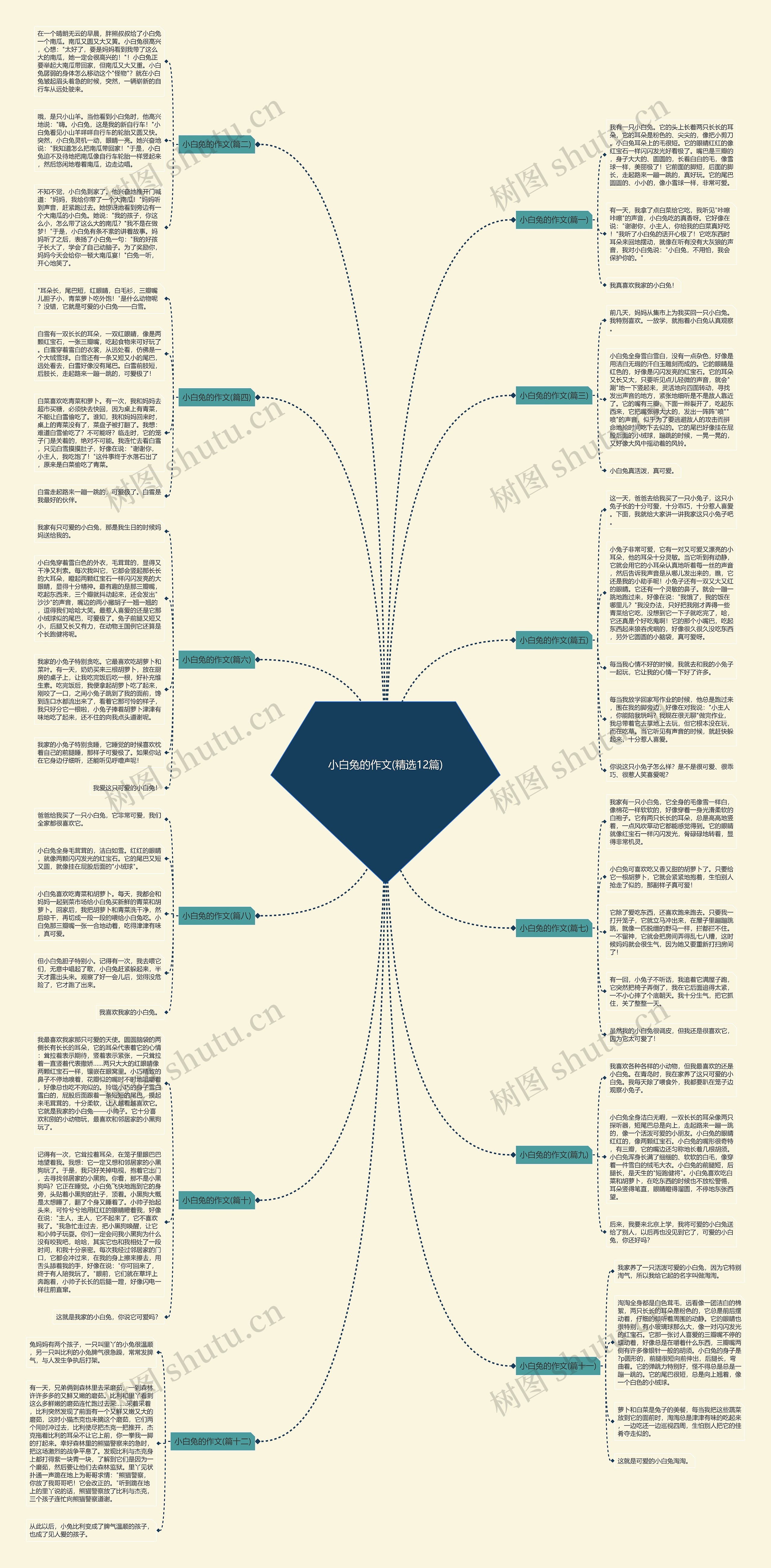 小白兔的作文(精选12篇)思维导图