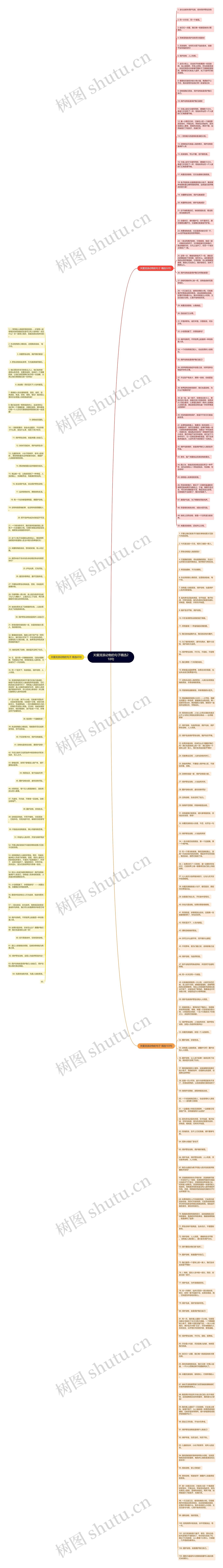 关爱流浪动物的句子精选218句思维导图