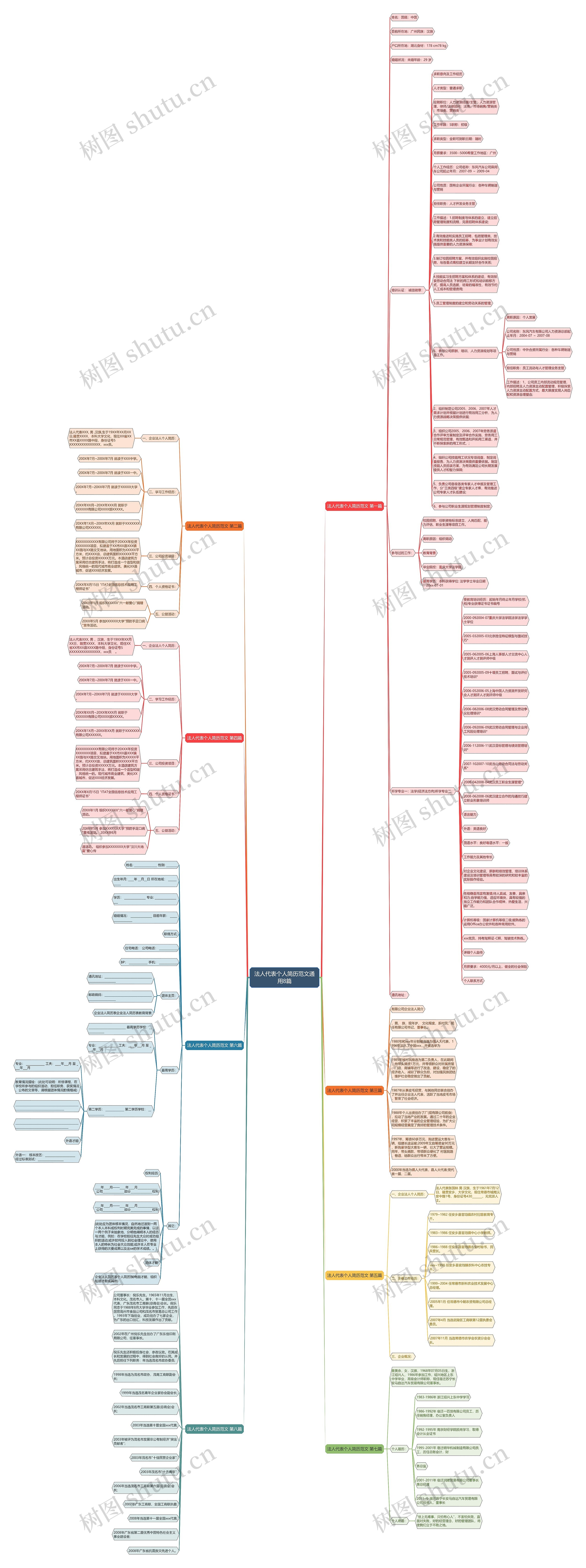 法人代表个人简历范文通用8篇思维导图