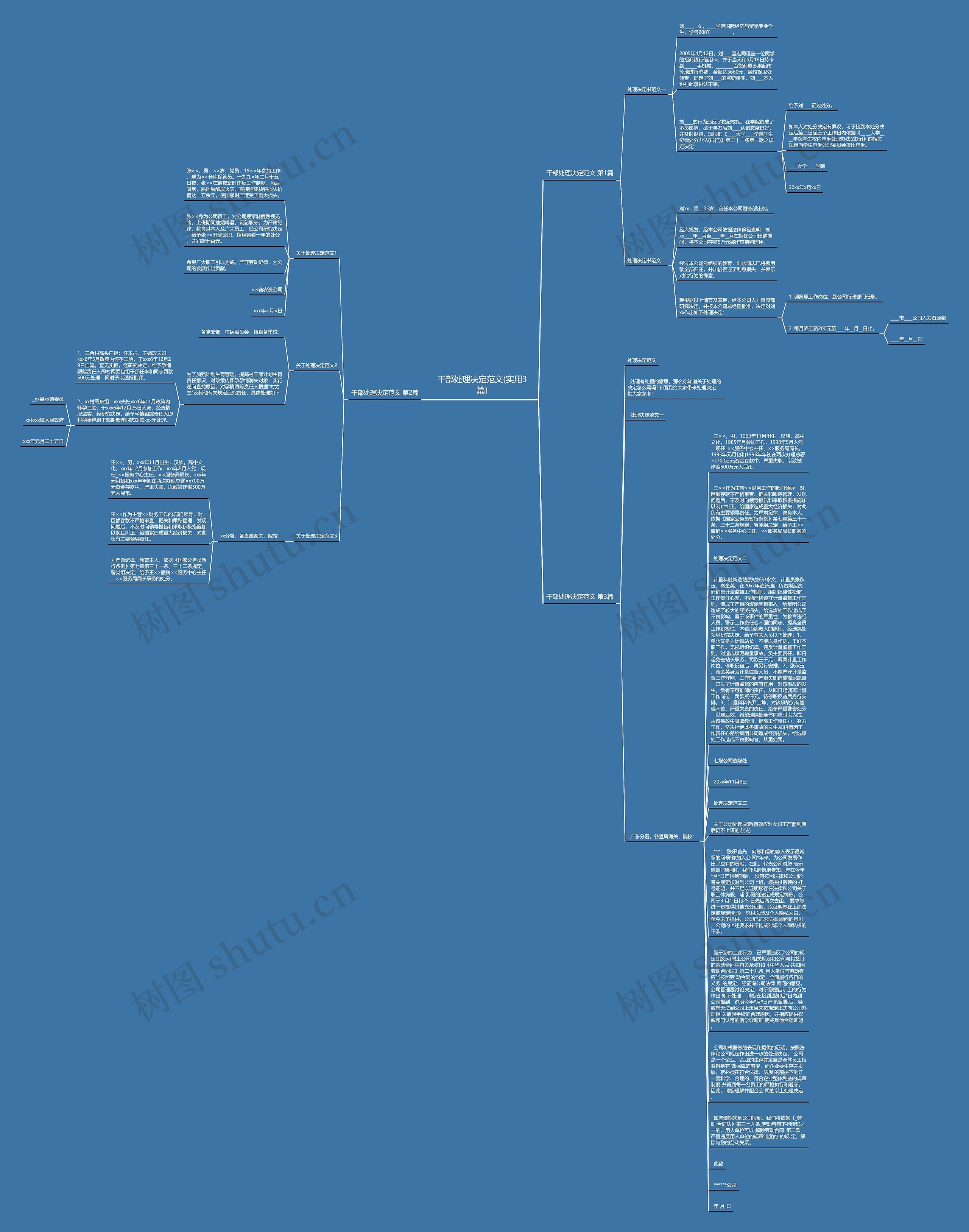 干部处理决定范文(实用3篇)思维导图