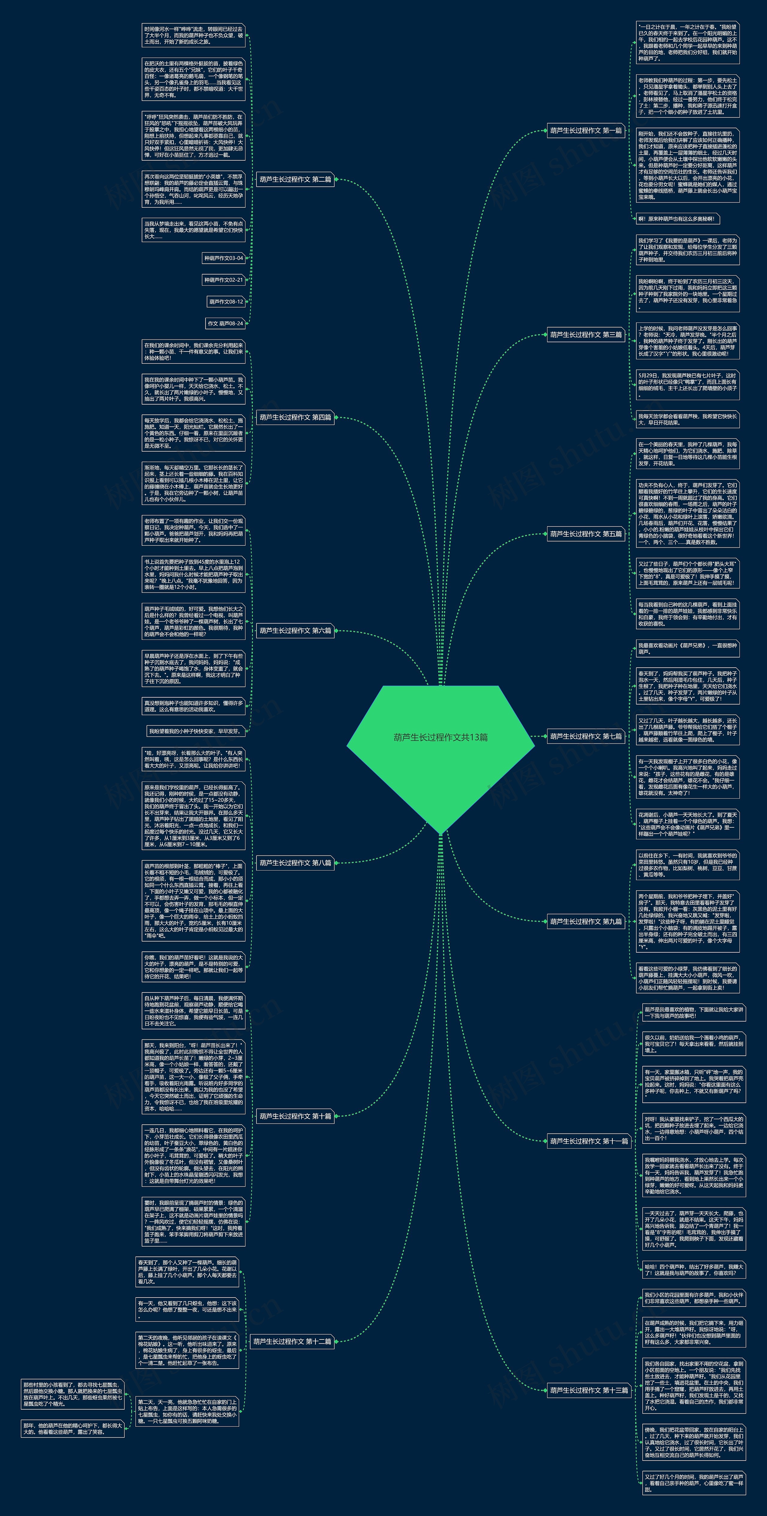 葫芦生长过程作文共13篇思维导图