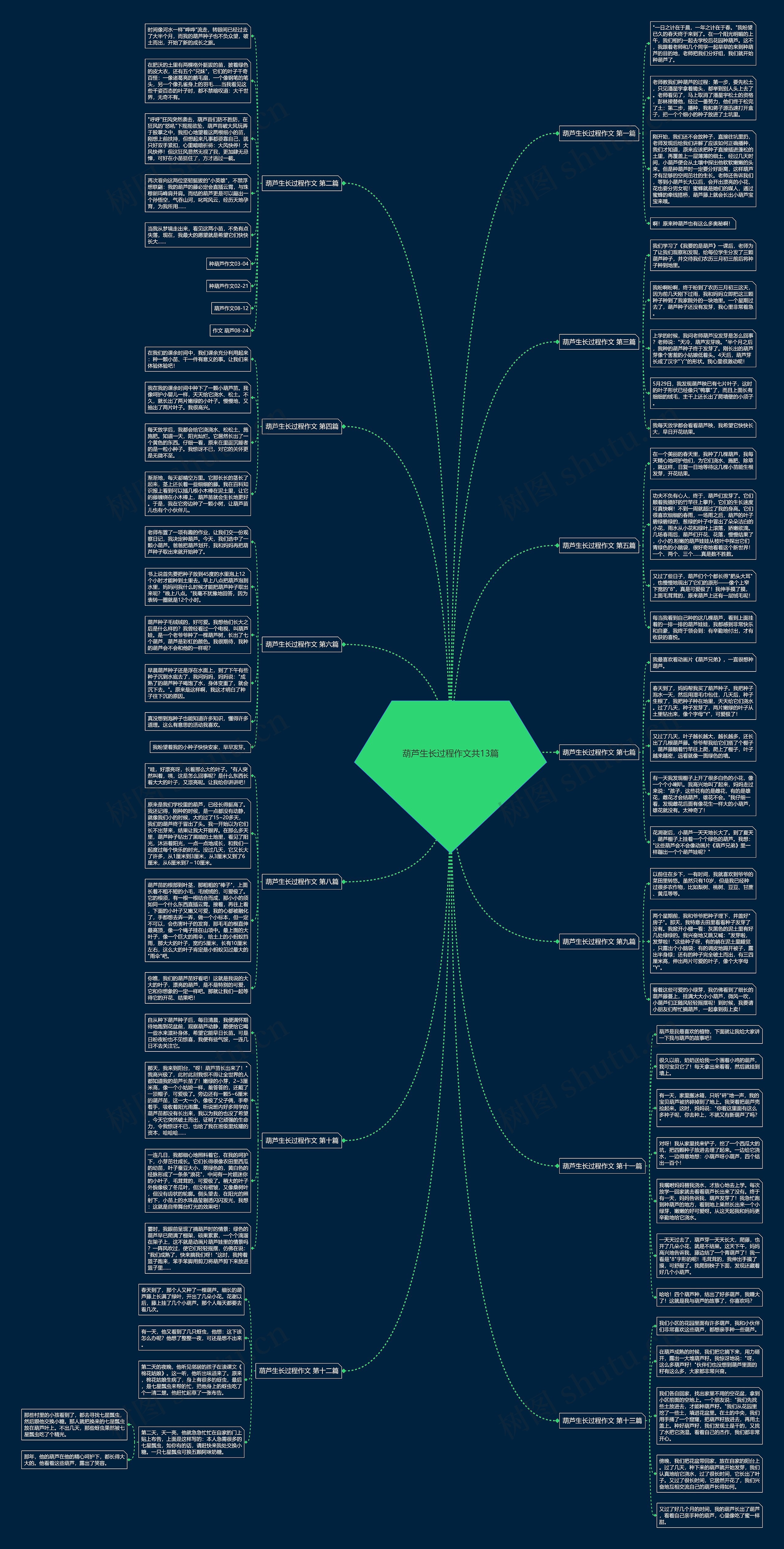 葫芦生长过程作文共13篇 葫芦生长过程作文共13篇