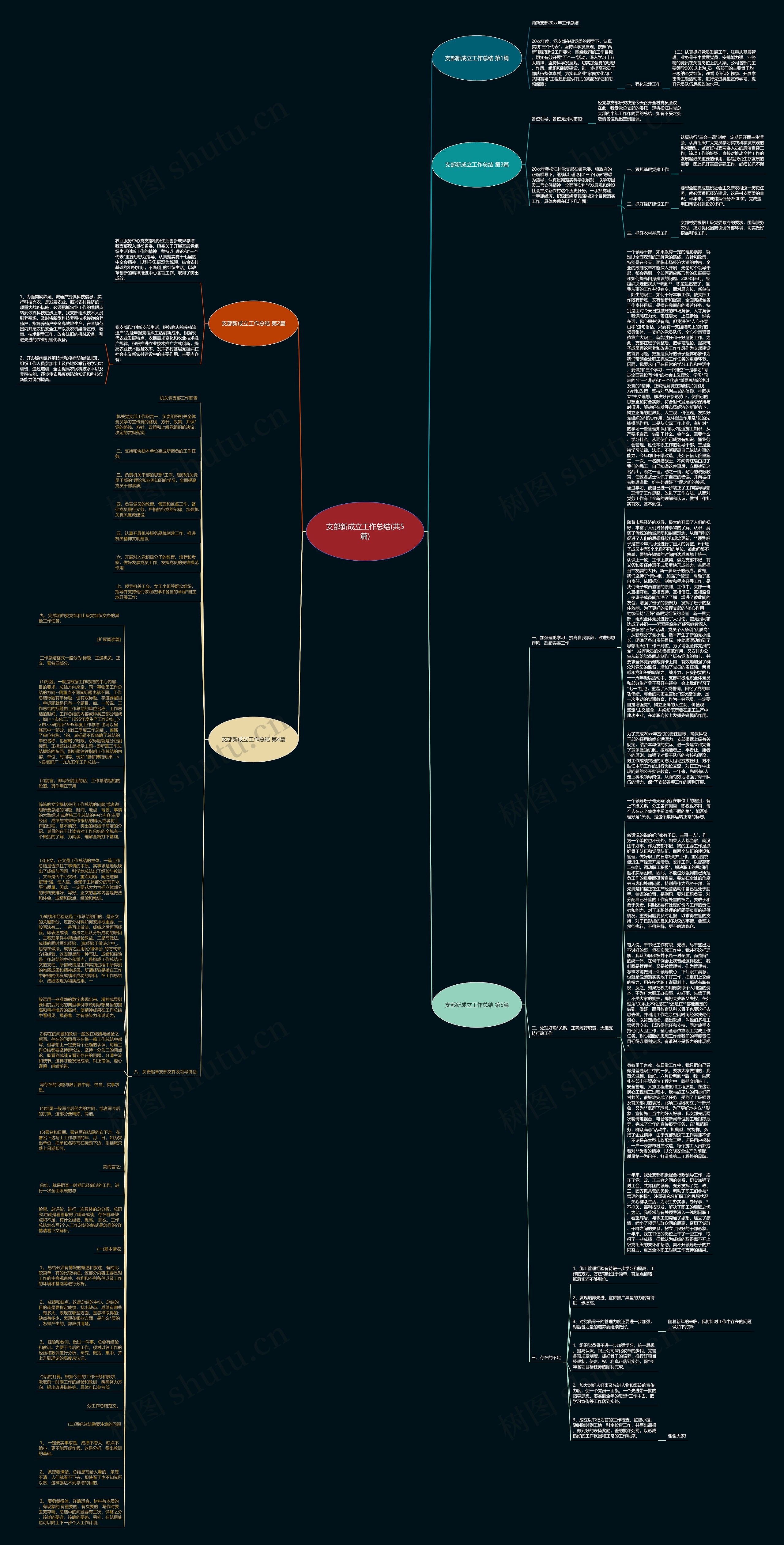 支部新成立工作总结(共5篇)思维导图