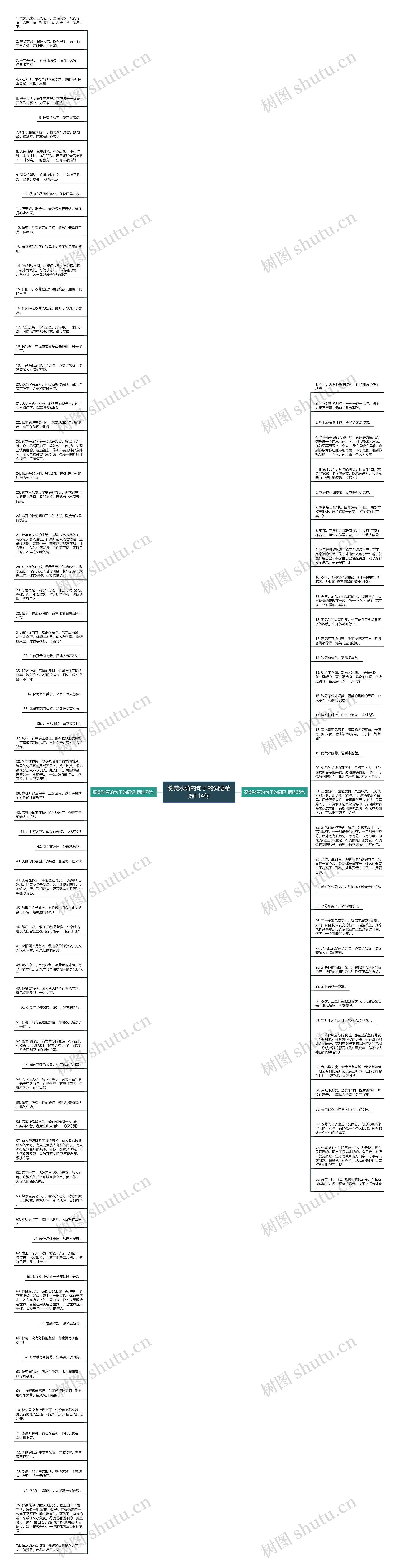 赞美秋菊的句子的词语精选114句思维导图
