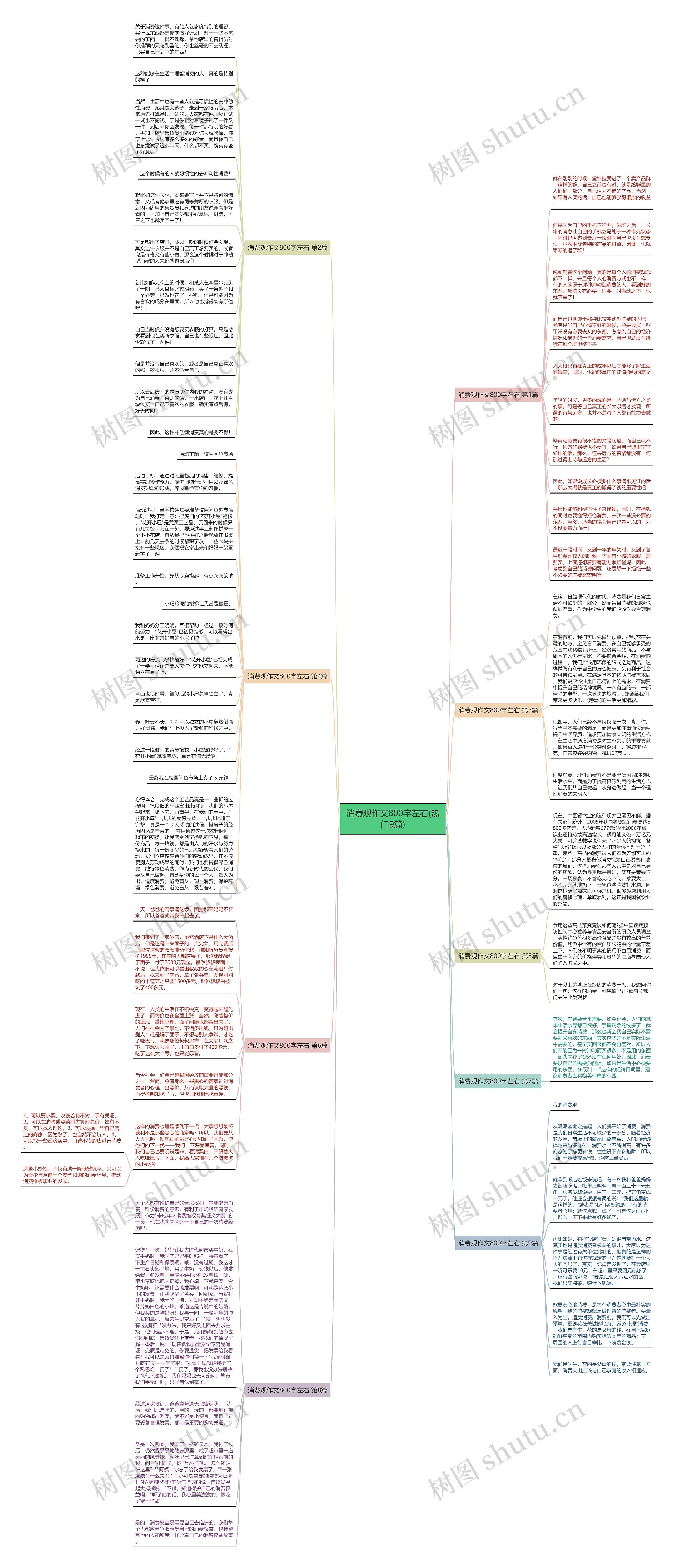 消费观作文800字左右(热门9篇)思维导图