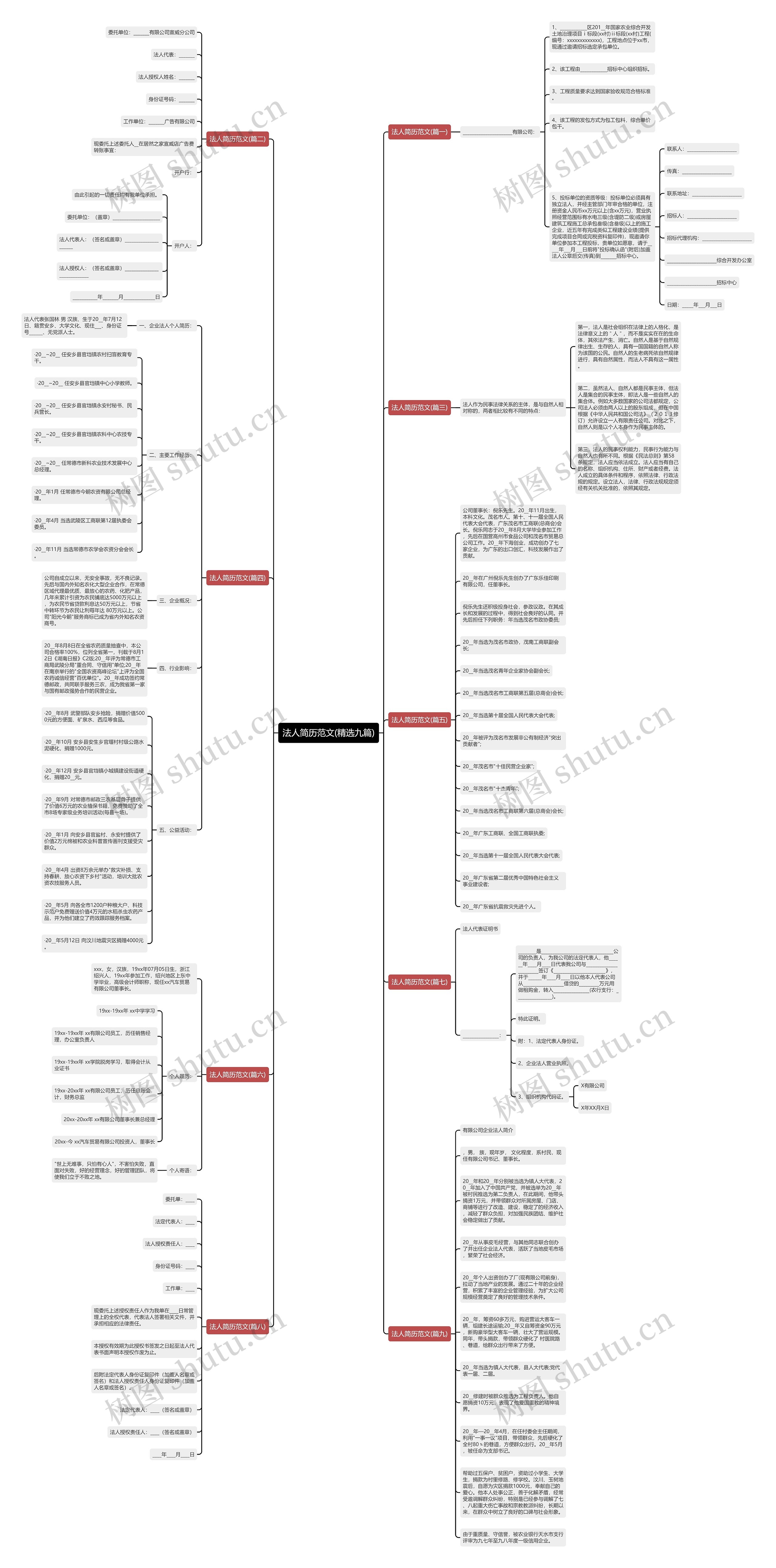 法人简历范文(精选九篇)思维导图