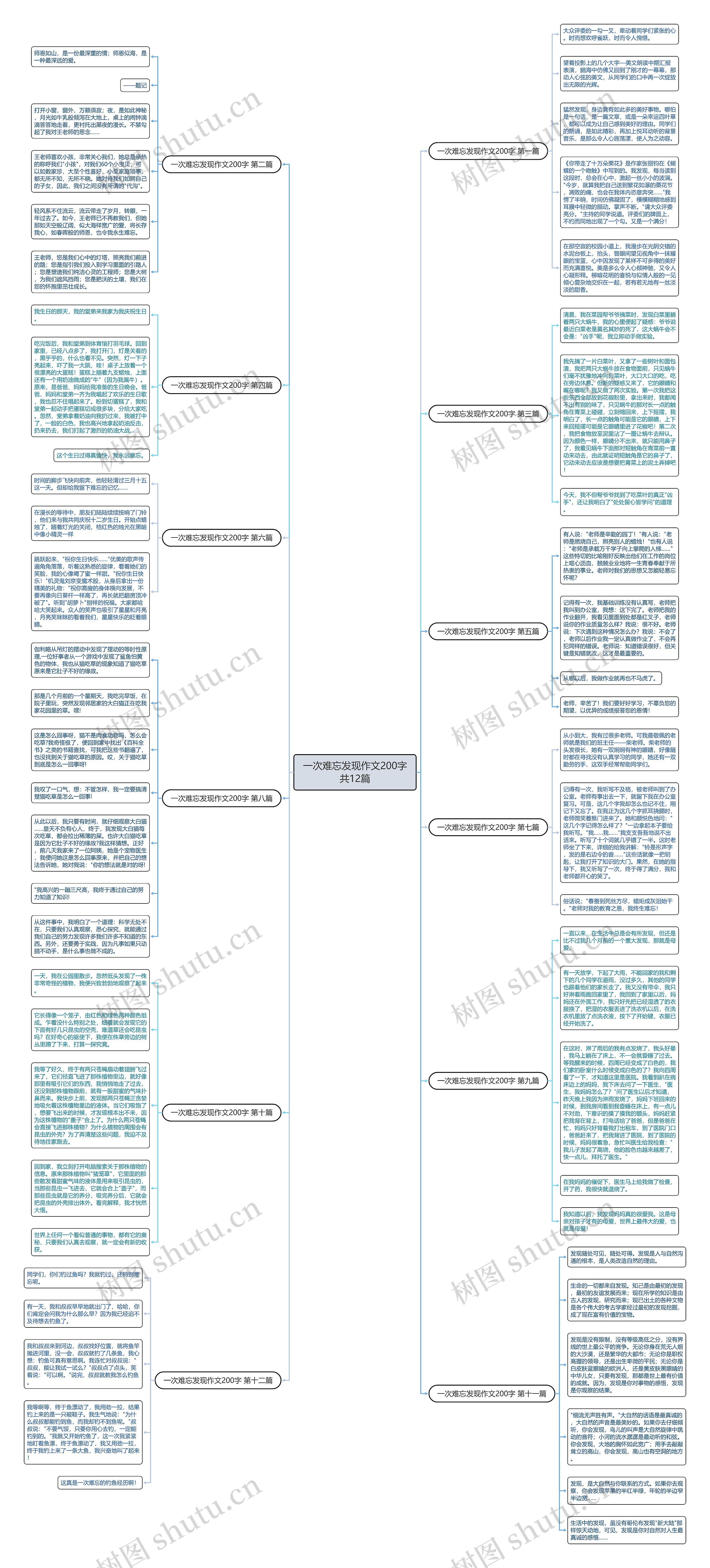 一次难忘发现作文200字共12篇思维导图