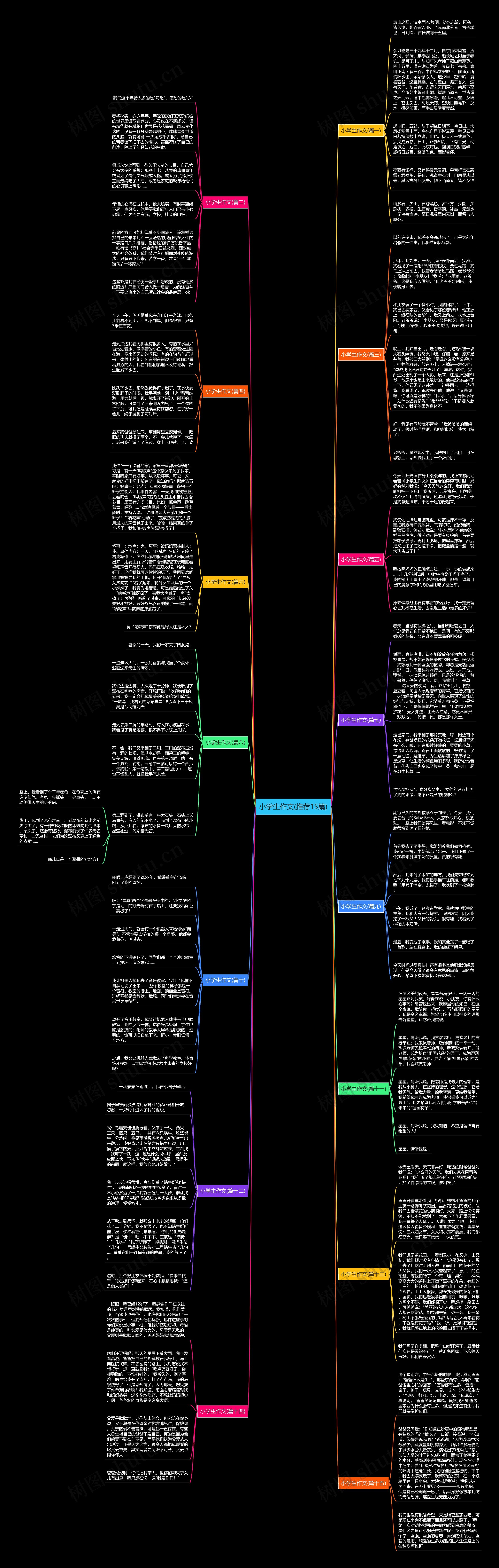 小学生作文(推荐15篇)思维导图