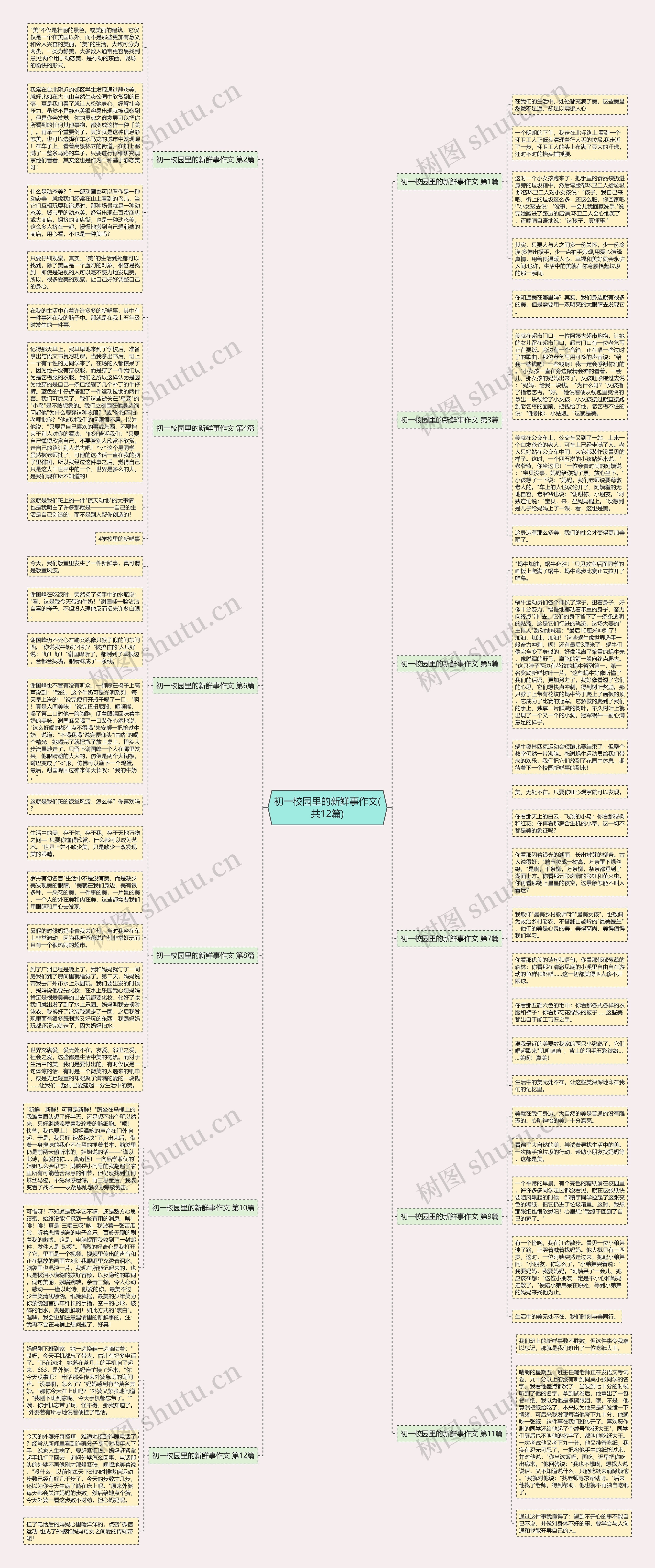 初一校园里的新鲜事作文(共12篇)思维导图