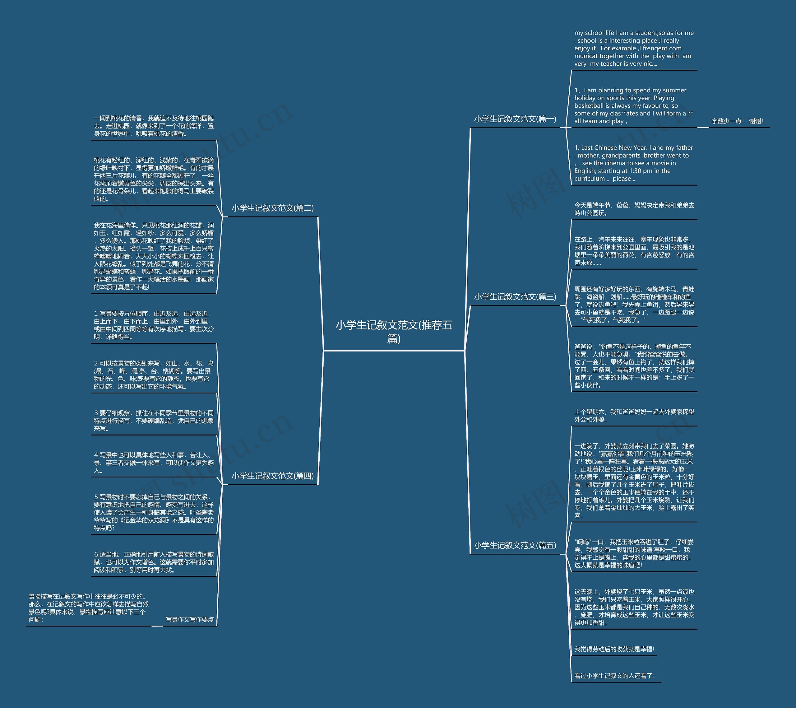 小学生记叙文范文(推荐五篇) 小学生记叙文范文(推荐五篇)