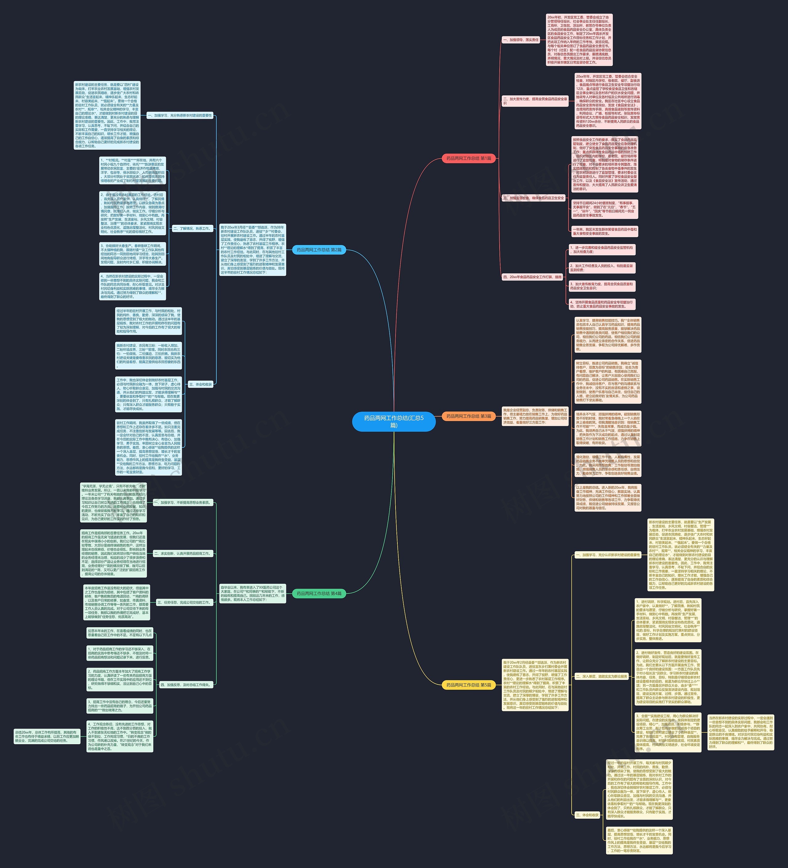 药品两网工作总结(汇总5篇)思维导图