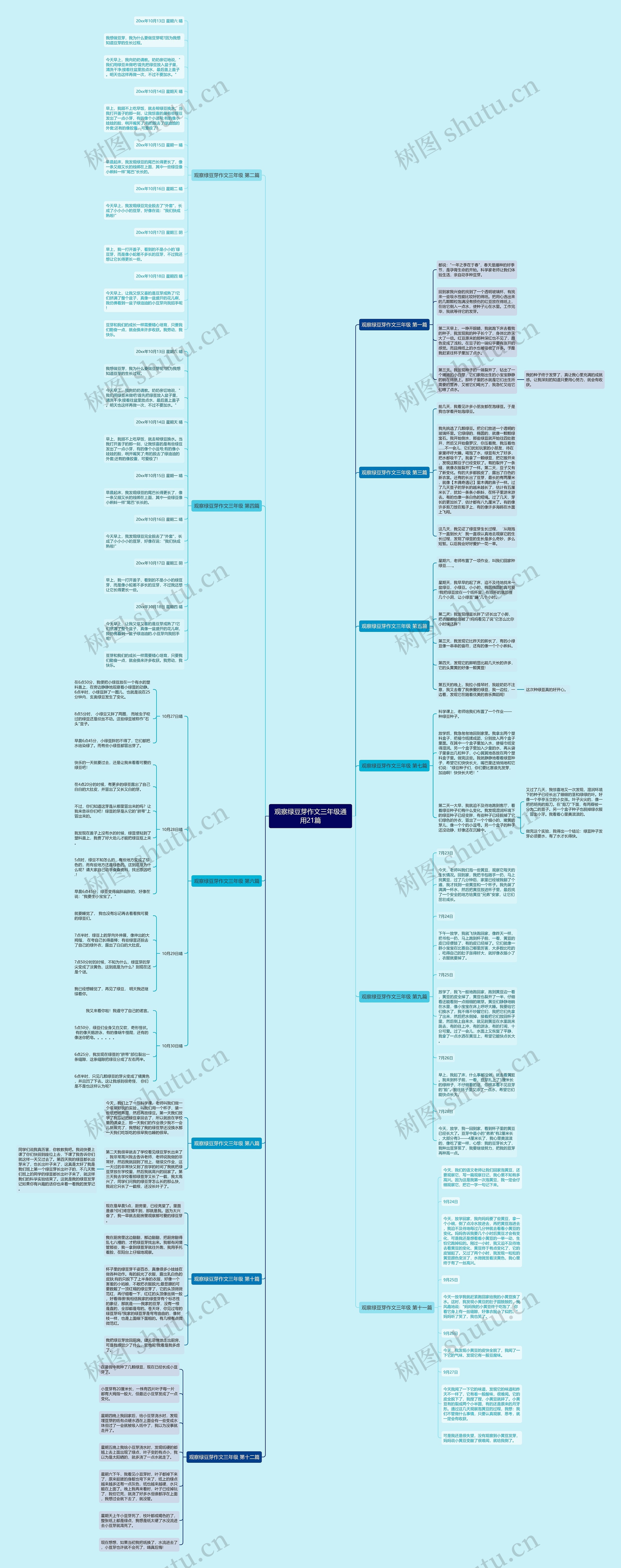 观察绿豆芽作文三年级通用21篇思维导图