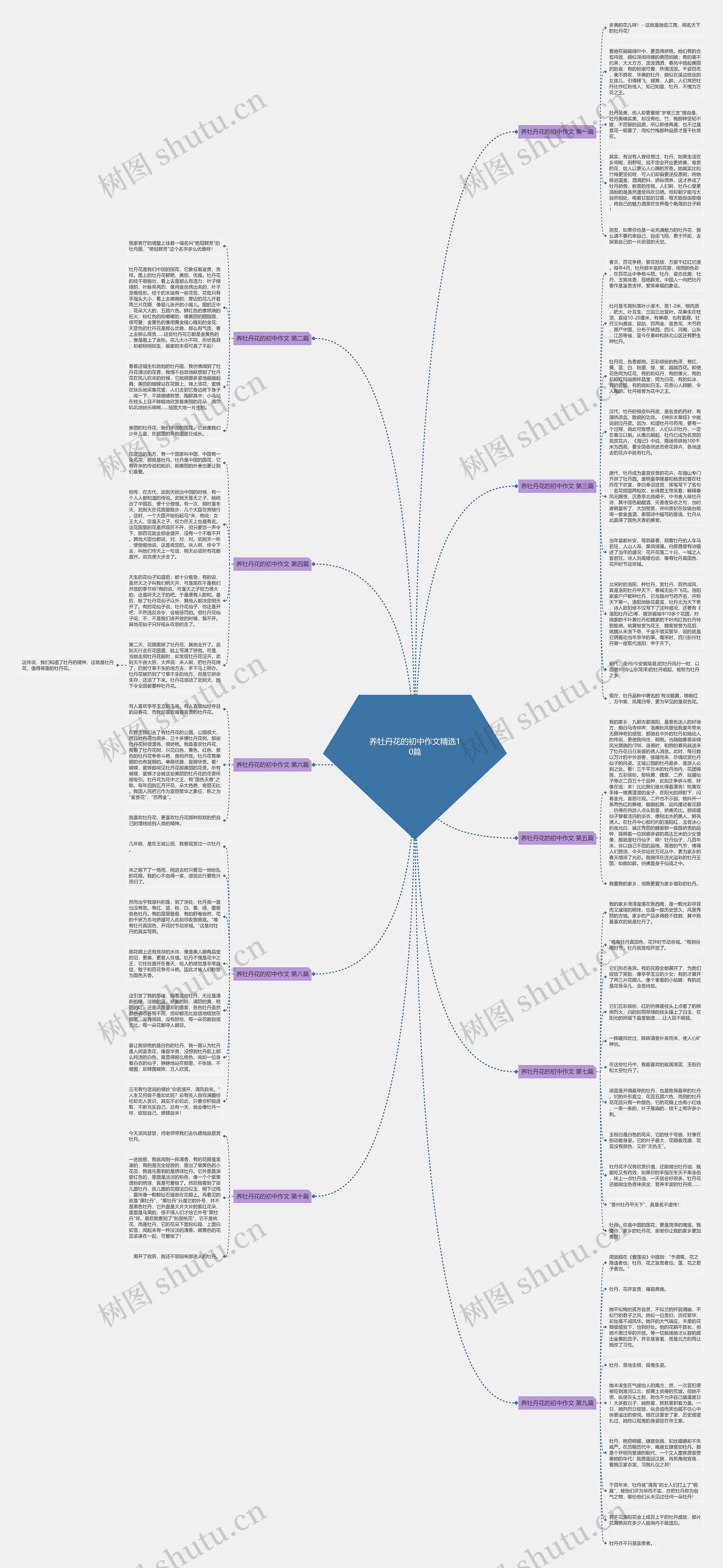 养牡丹花的初中作文精选10篇思维导图