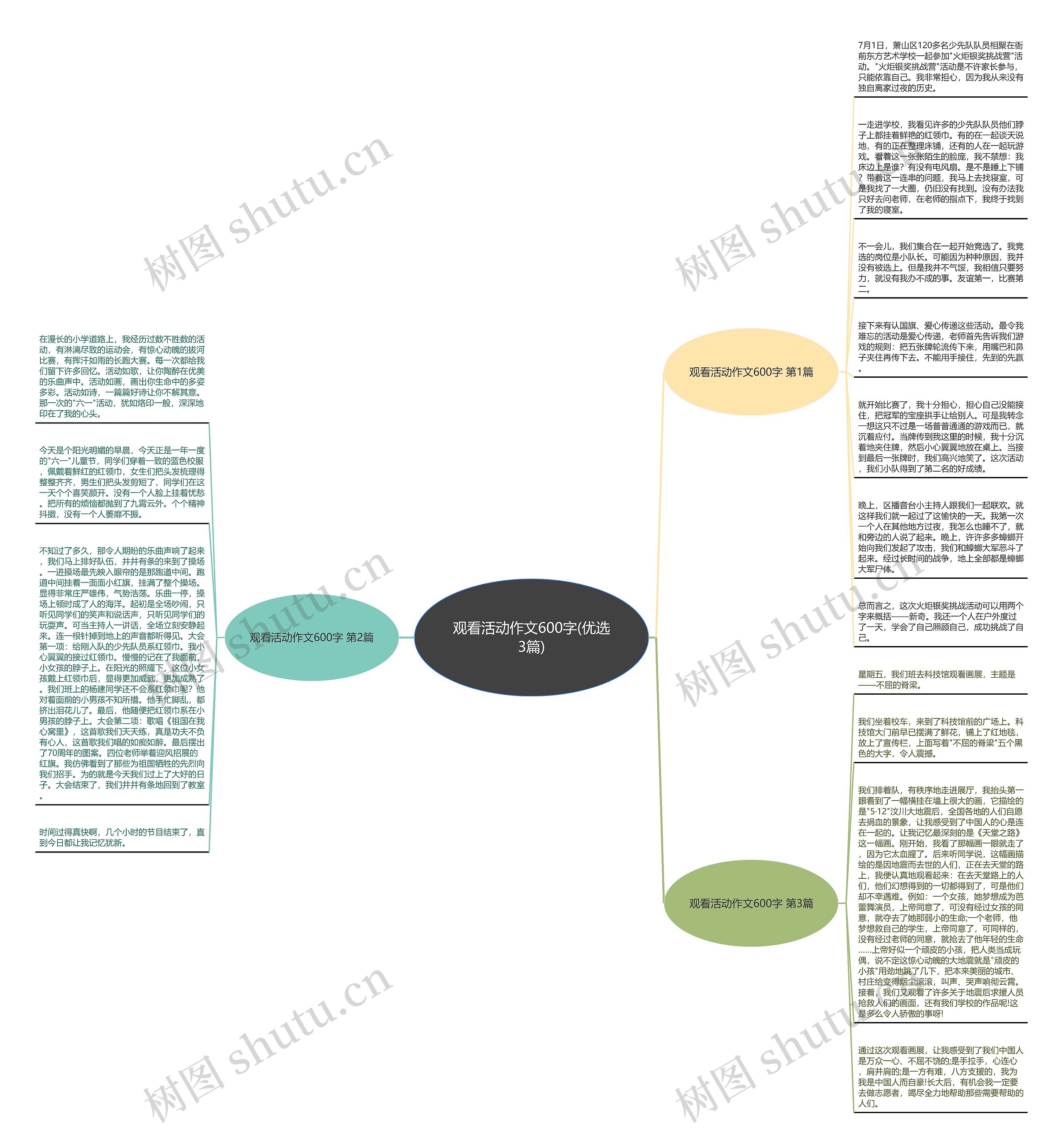 观看活动作文600字(优选3篇)思维导图