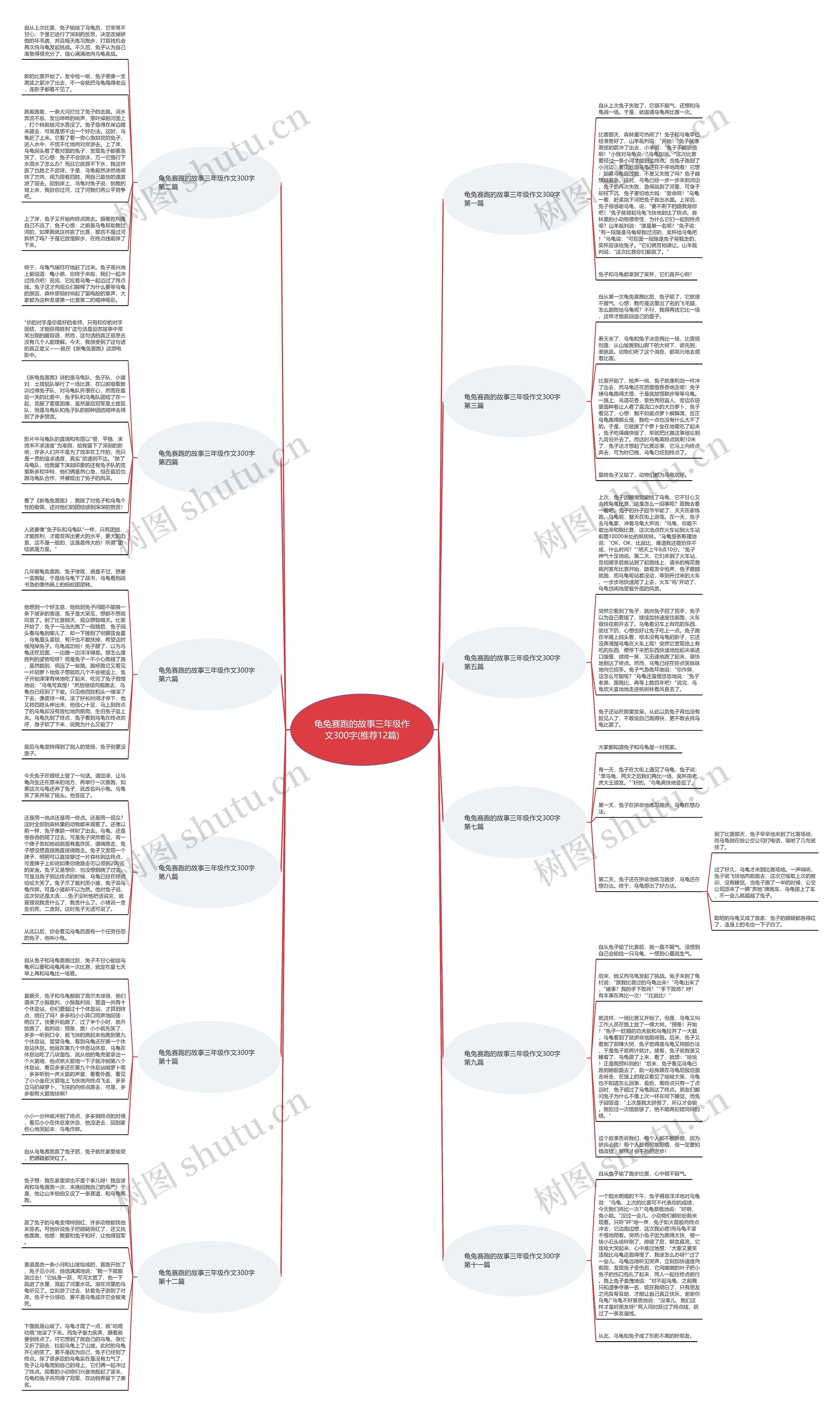 龟兔赛跑的故事三年级作文300字(推荐12篇)思维导图
