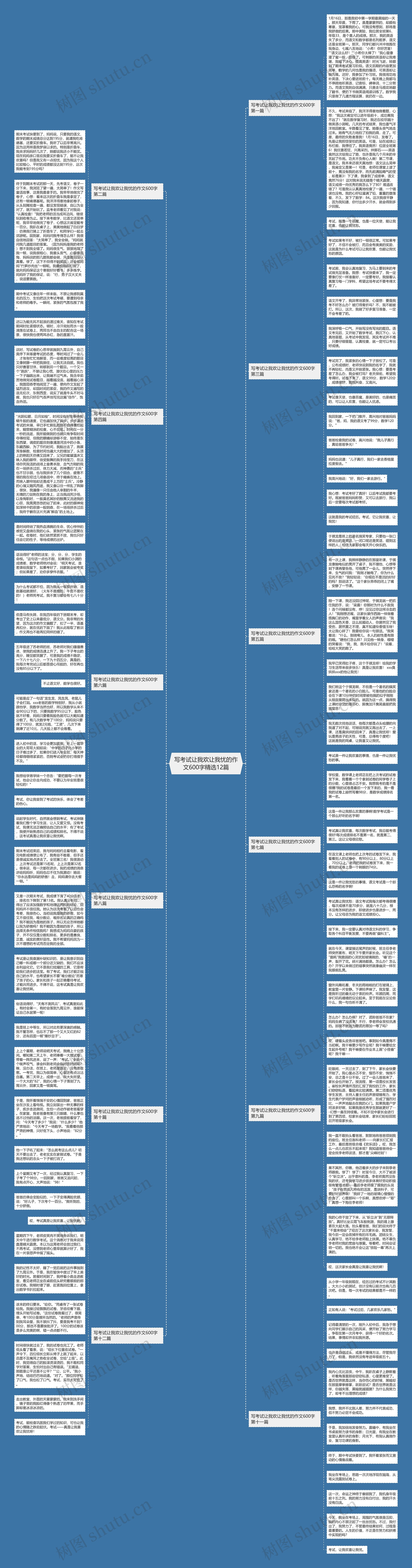 写考试让我欢让我忧的作文600字精选12篇
