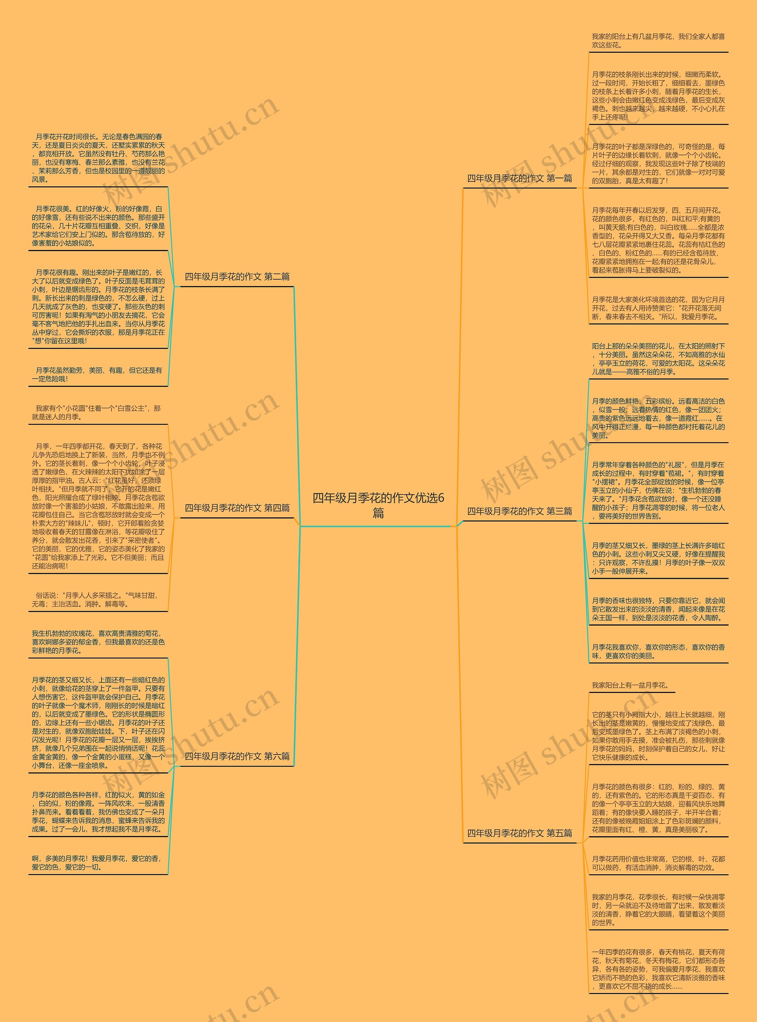 四年级月季花的作文优选6篇思维导图