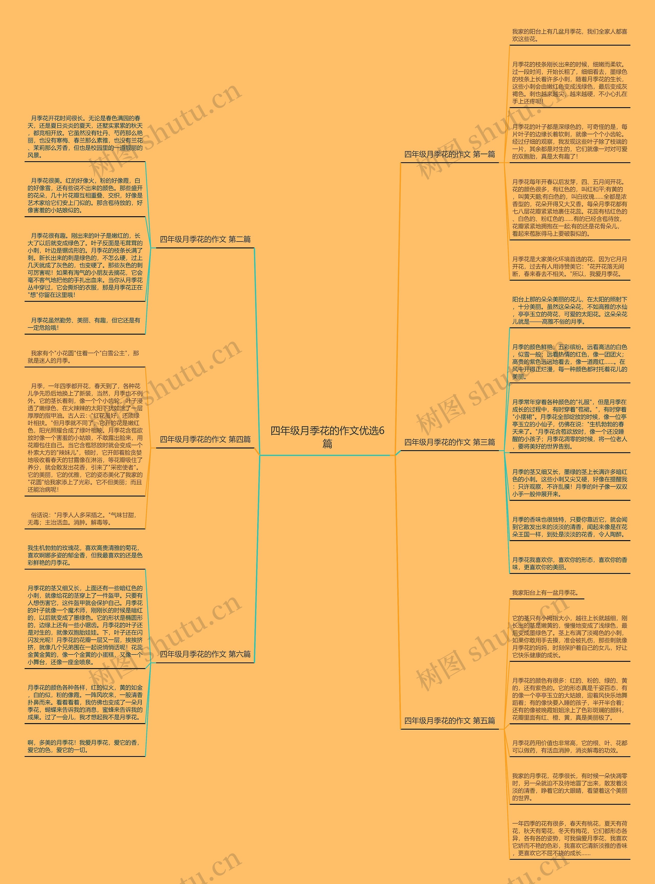四年级月季花的作文优选6篇 四年级月季花的作文优选6篇