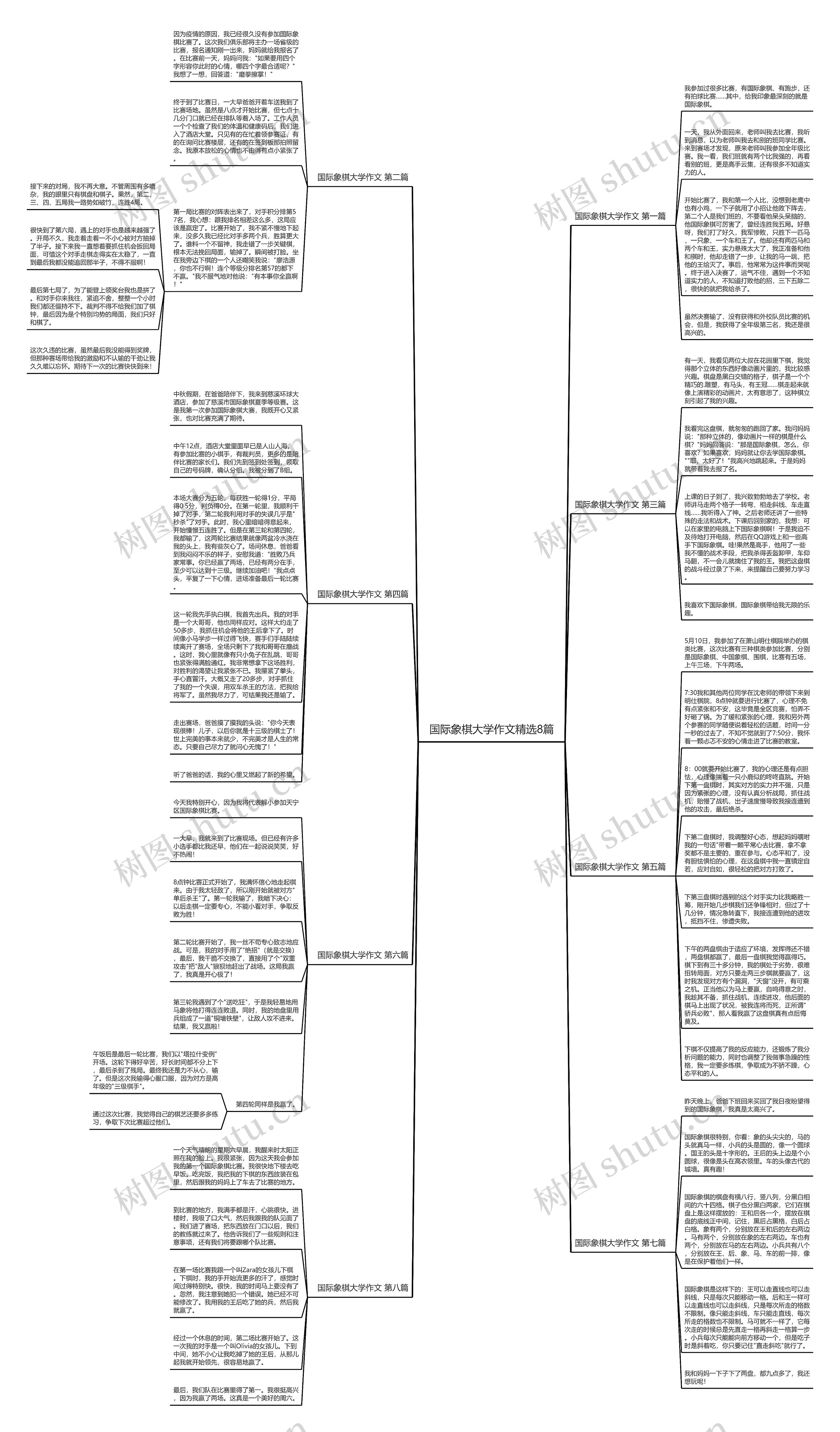 国际象棋大学作文精选8篇思维导图