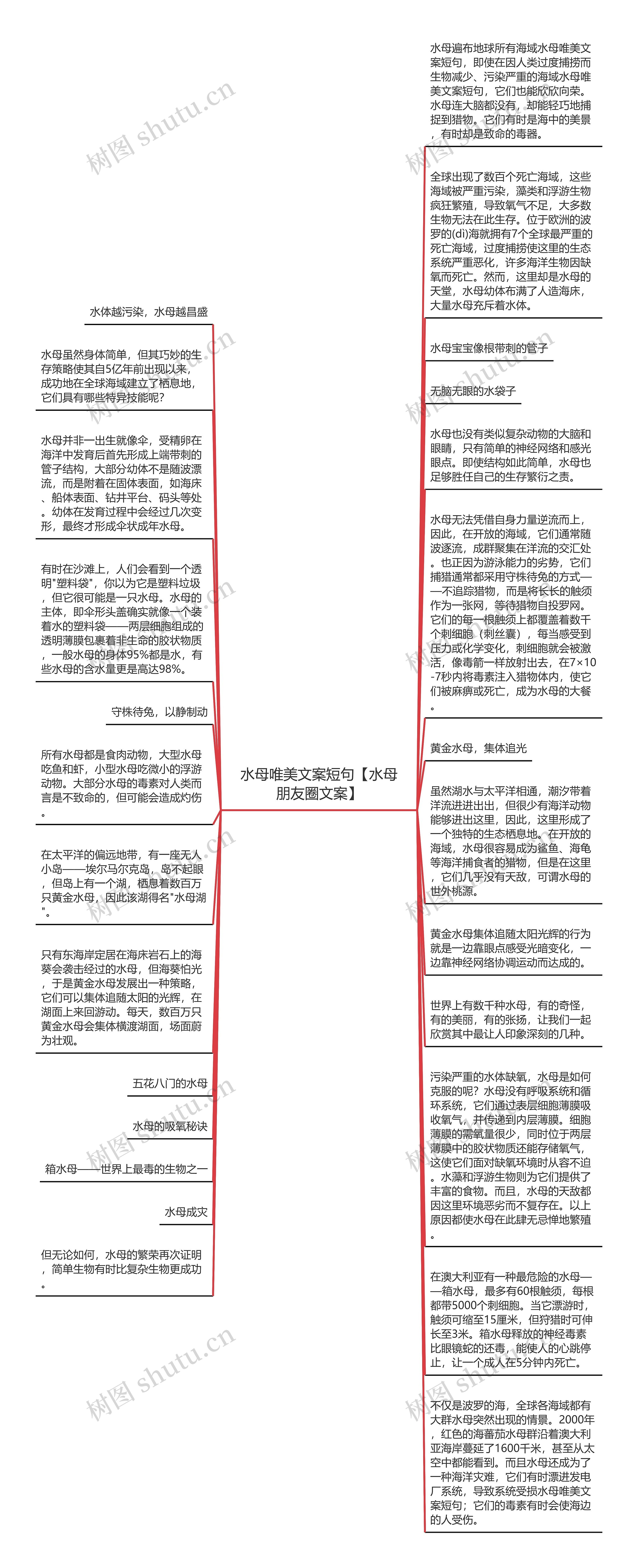 水母唯美文案短句【水母朋友圈文案】思维导图