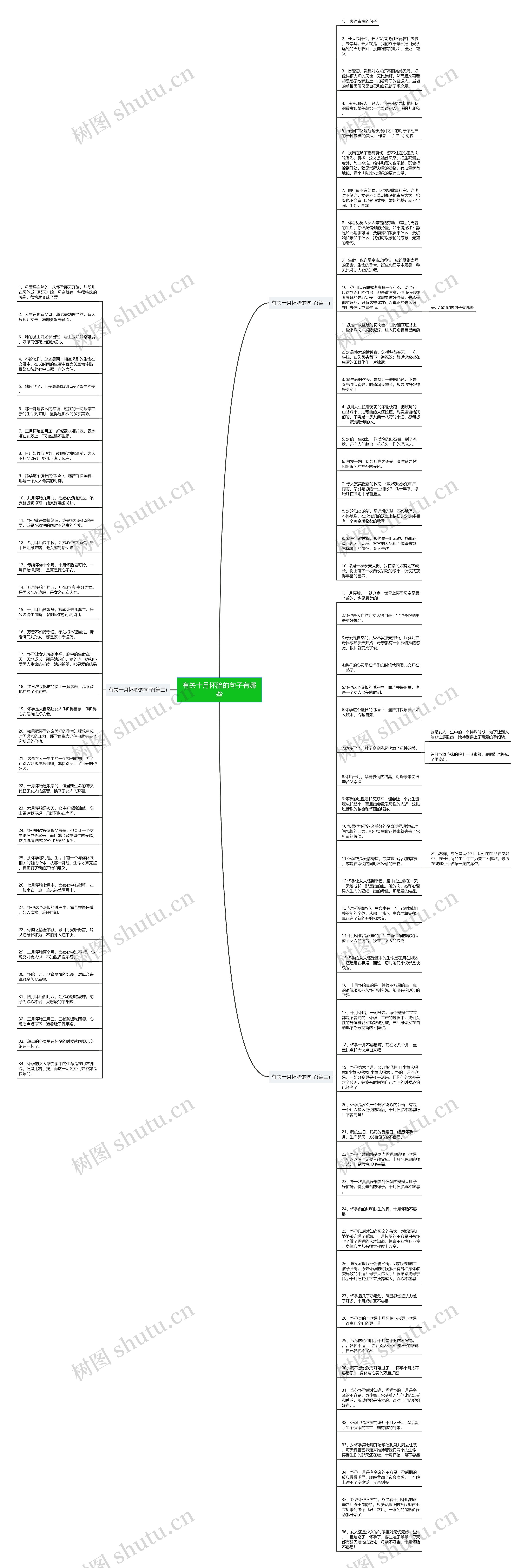 有关十月怀胎的句子有哪些