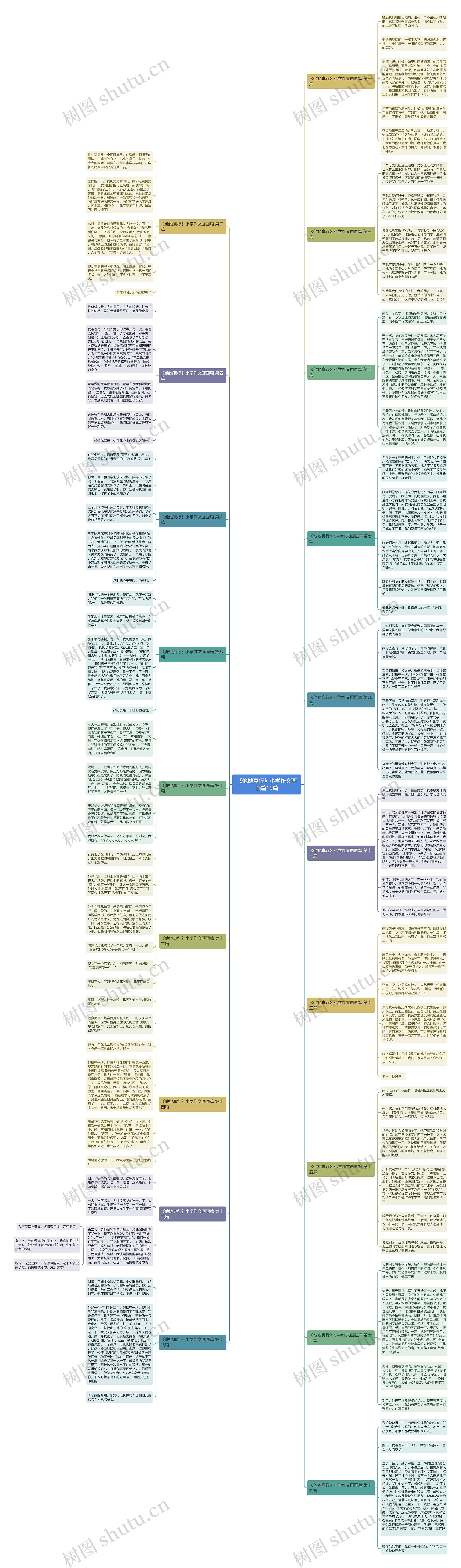《他她真行》小学作文画画篇19篇 《他她真行》小学作文画画篇19篇