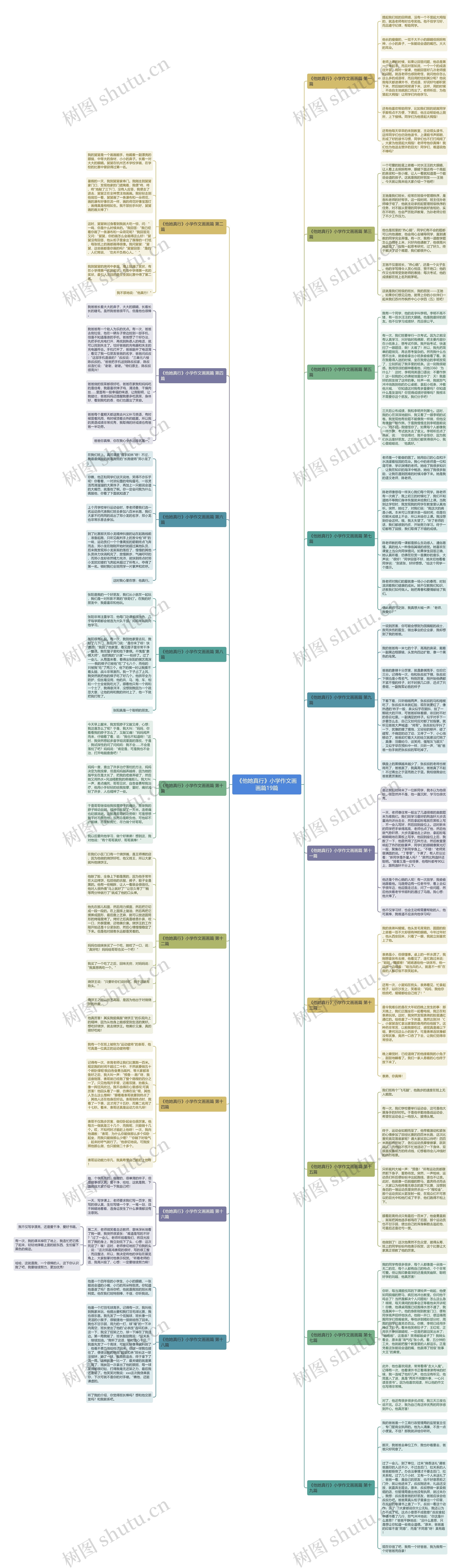 《他她真行》小学作文画画篇19篇思维导图
