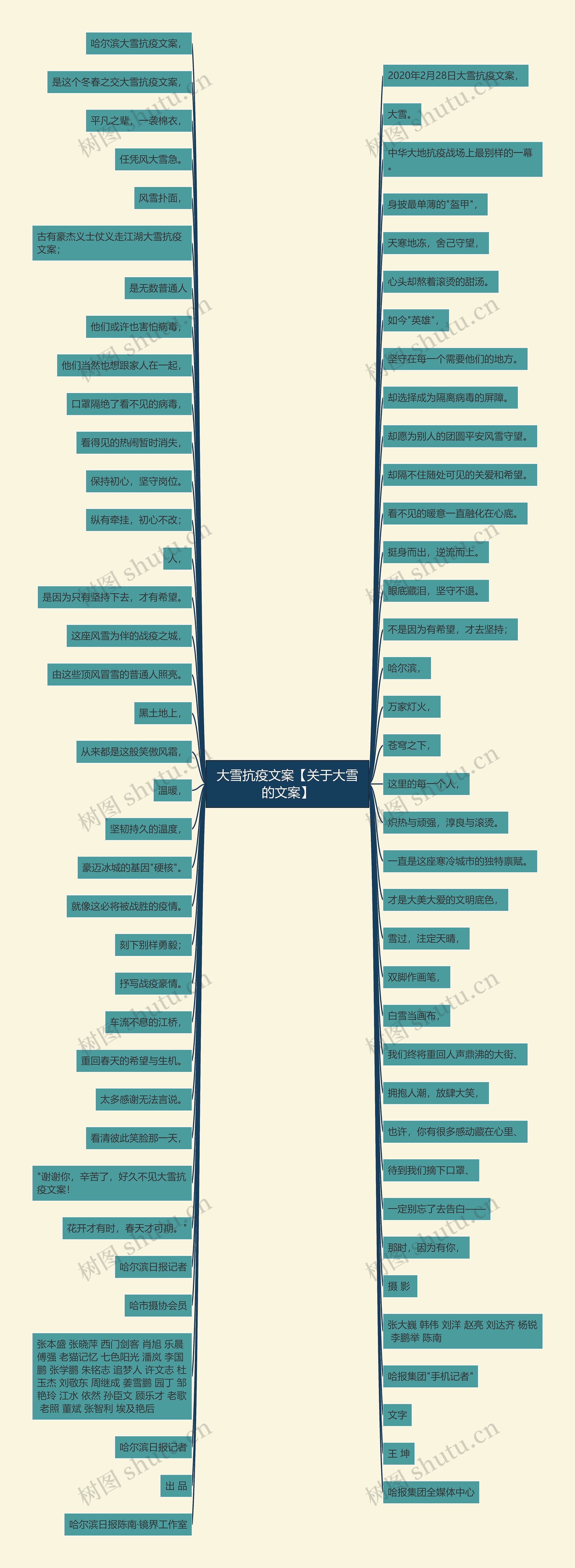 大雪抗疫文案【关于大雪的文案】思维导图