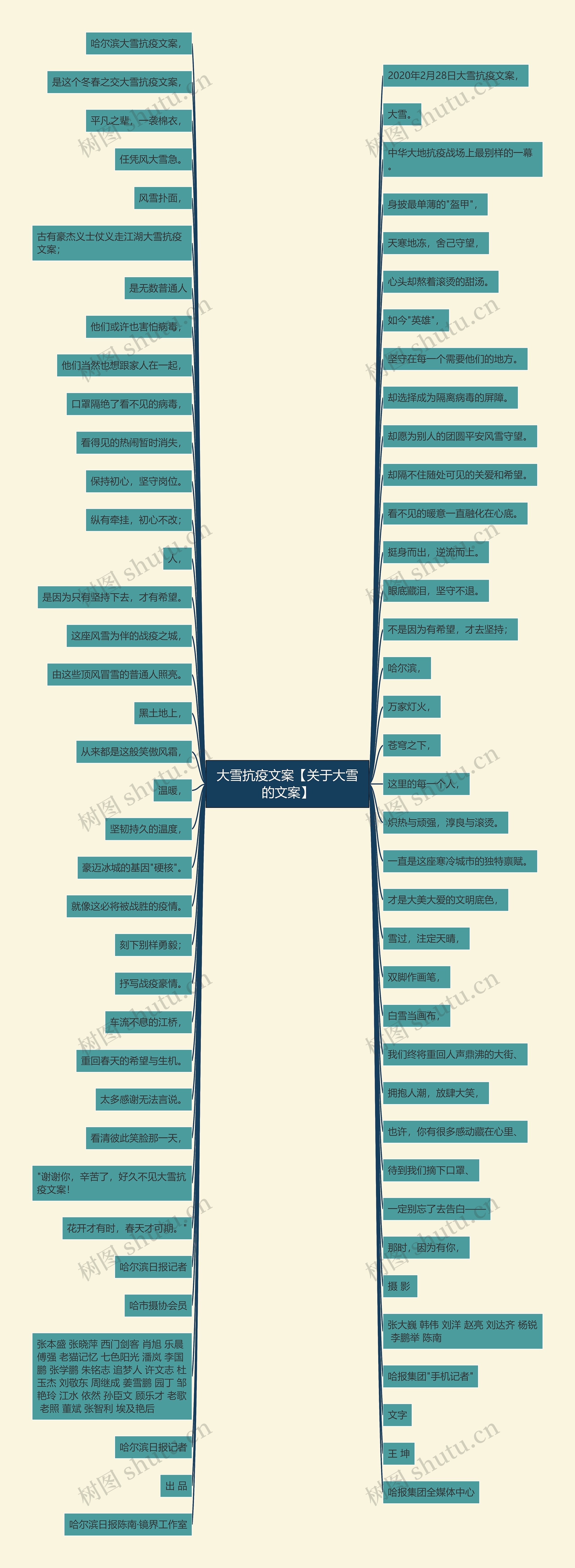 大雪抗疫文案【关于大雪的文案】 大雪抗疫文案【关于大雪的文案】