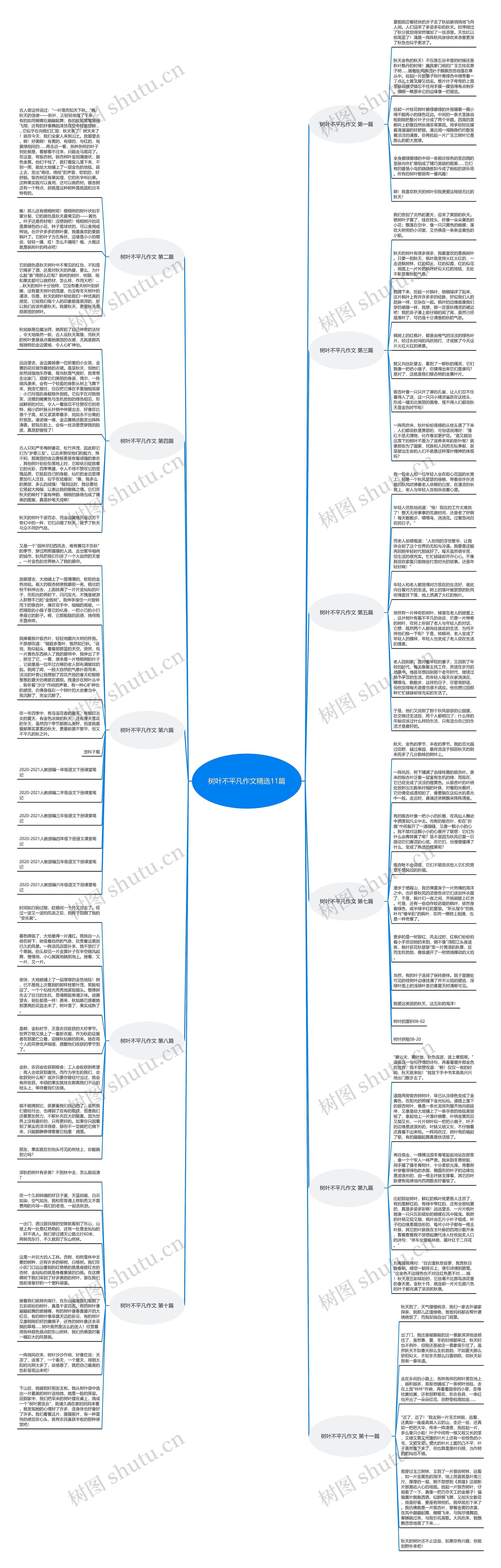 树叶不平凡作文精选11篇思维导图