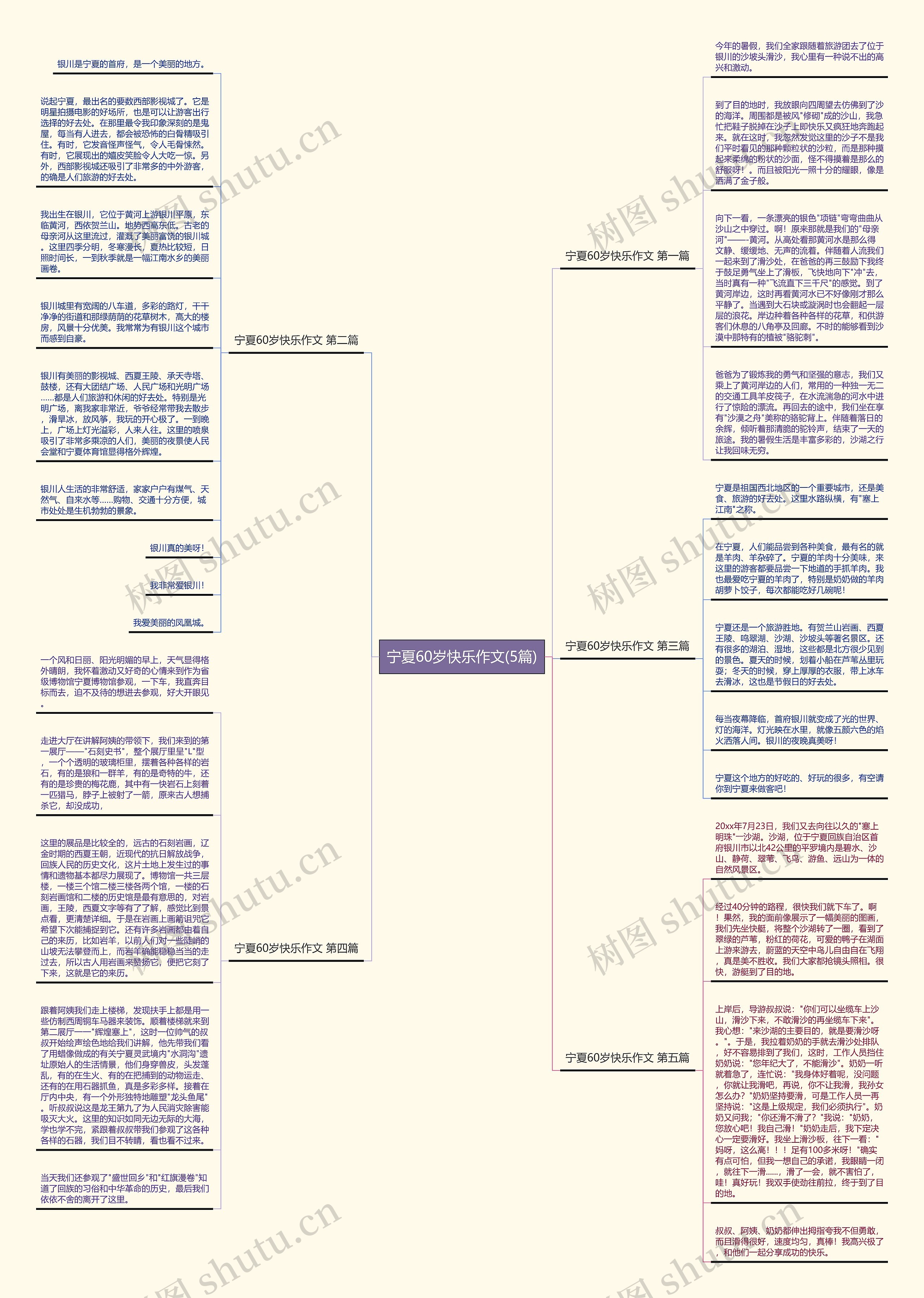 宁夏60岁快乐作文(5篇)思维导图