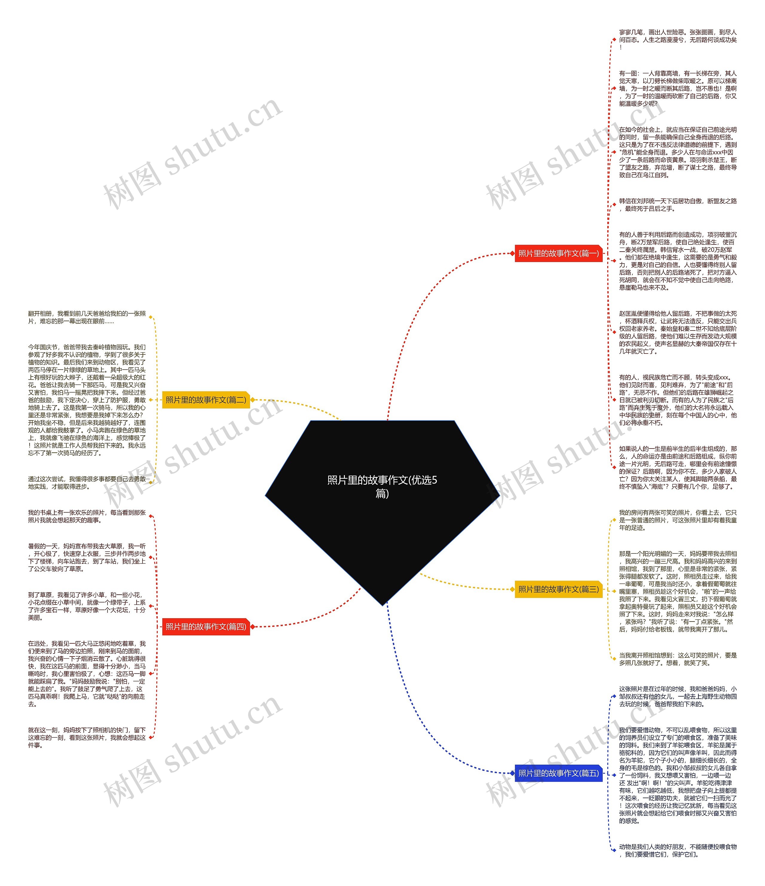 照片里的故事作文(优选5篇)思维导图