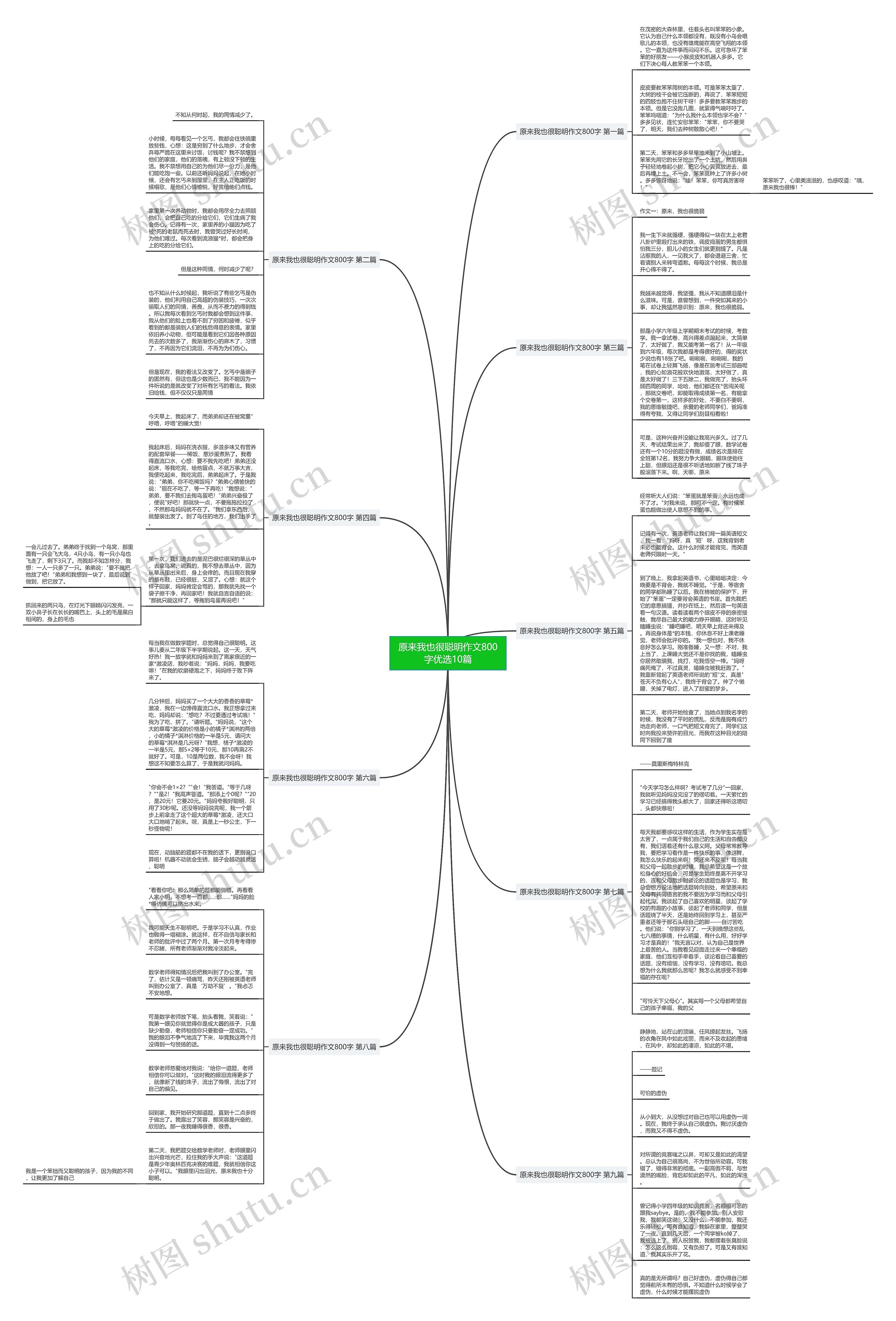 原来我也很聪明作文800字优选10篇思维导图