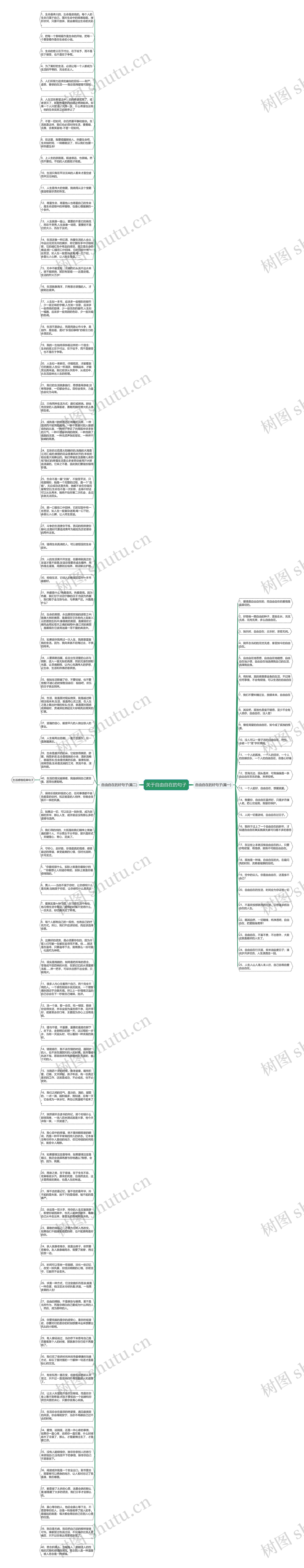 关于自由自在的句子思维导图