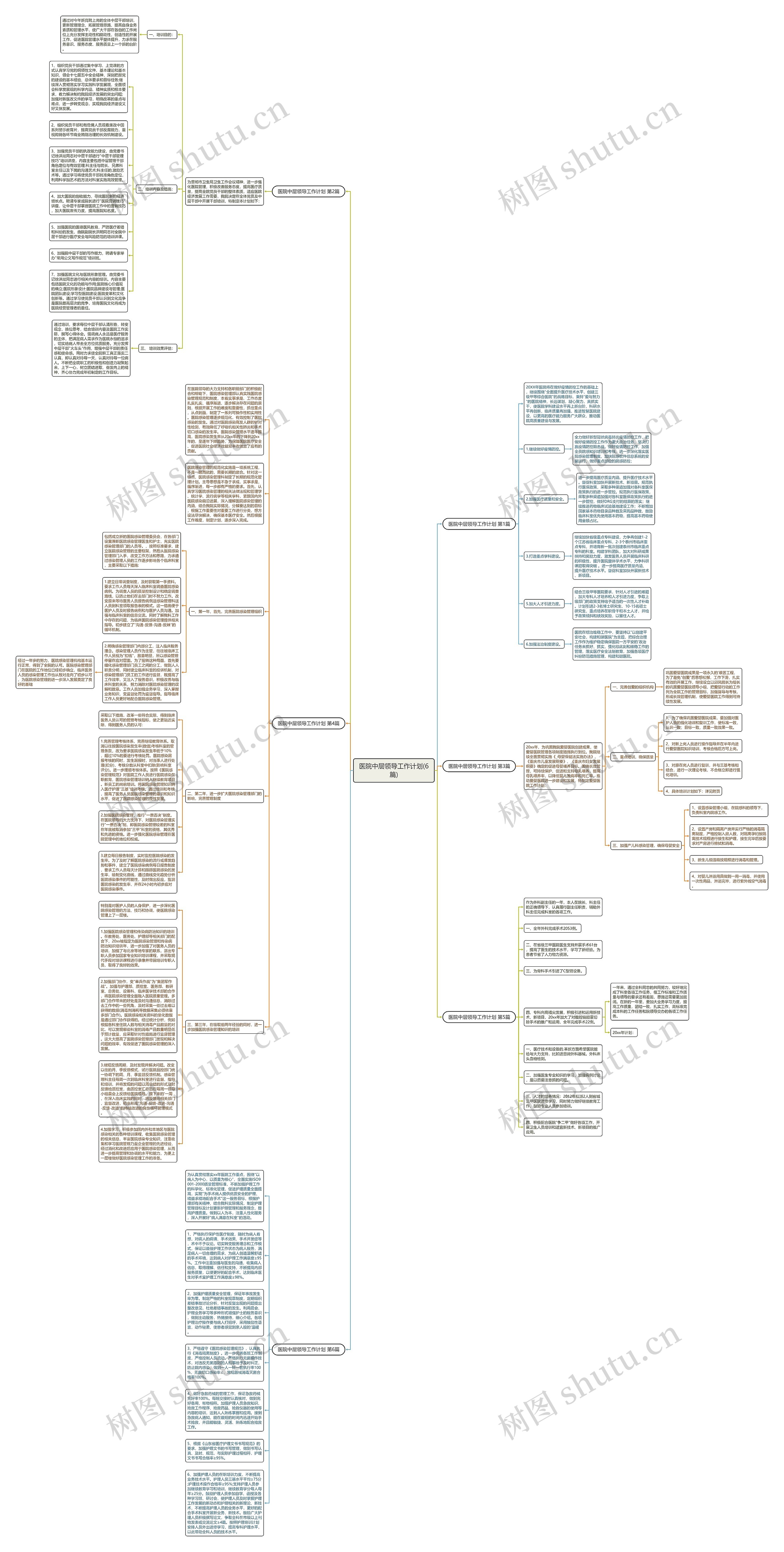 医院中层领导工作计划(6篇)思维导图