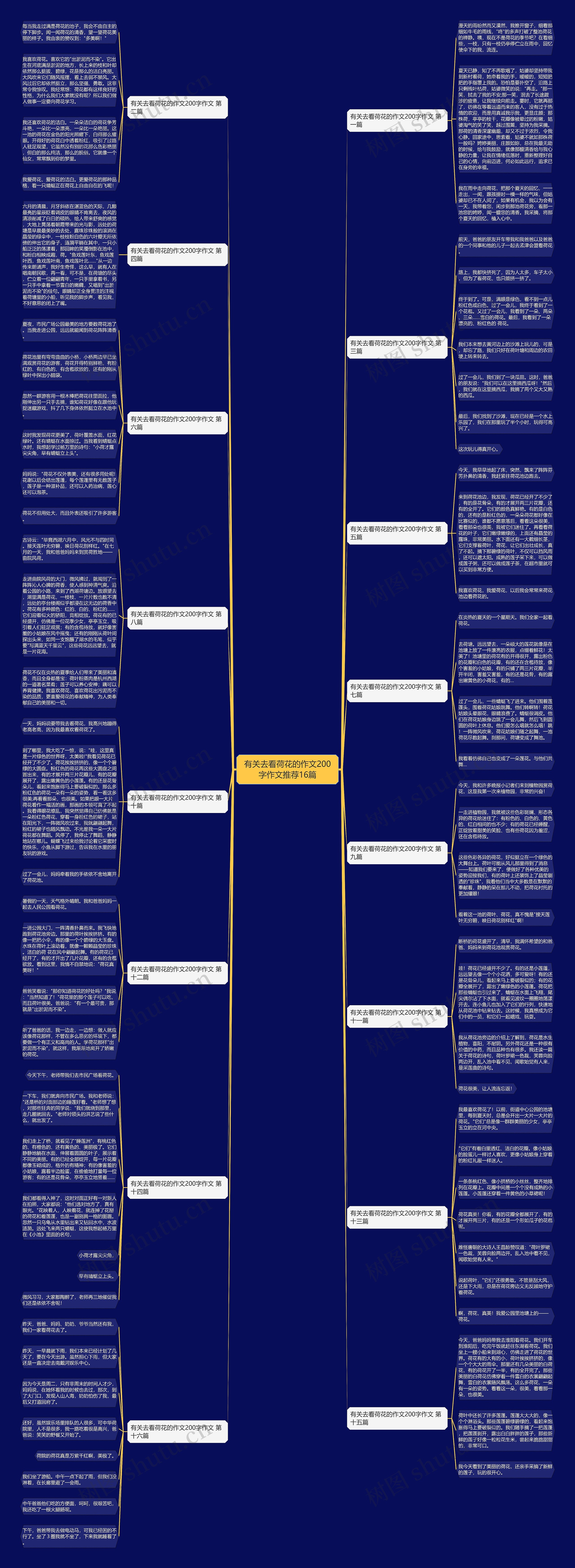 有关去看荷花的作文200字作文推荐16篇思维导图