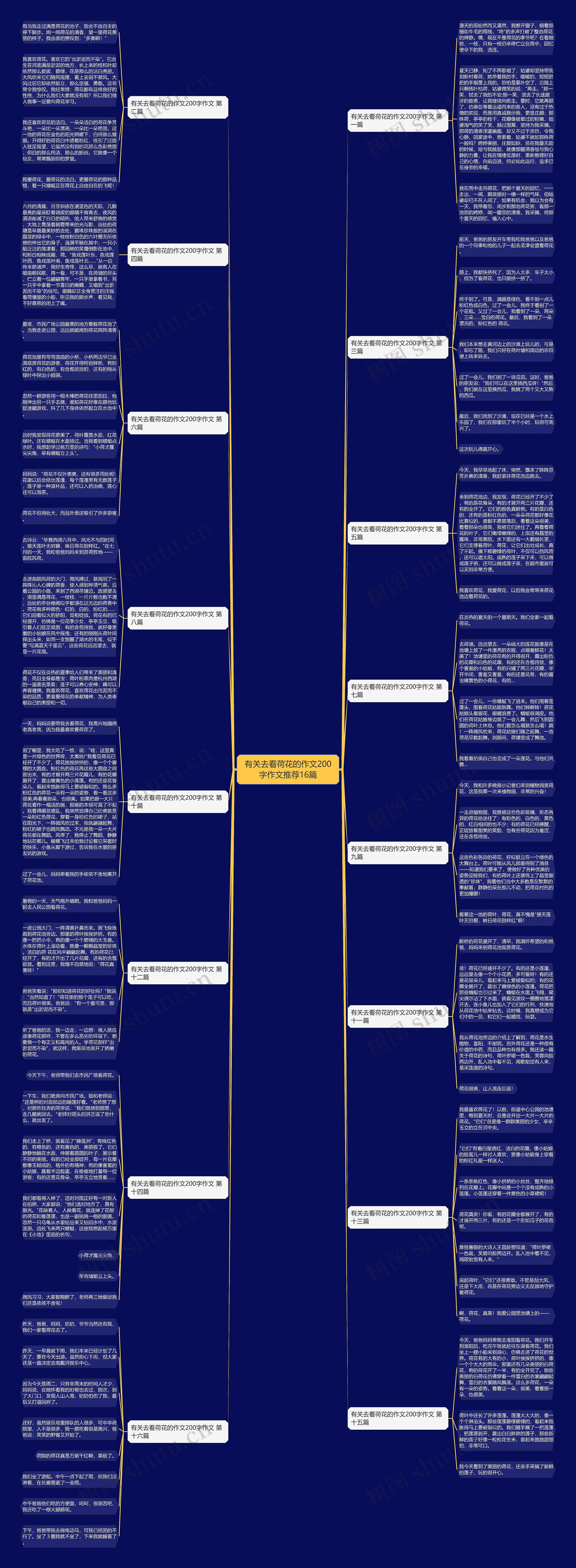 有关去看荷花的作文200字作文推荐16篇 有关去看荷花的作文200字作文推荐16篇