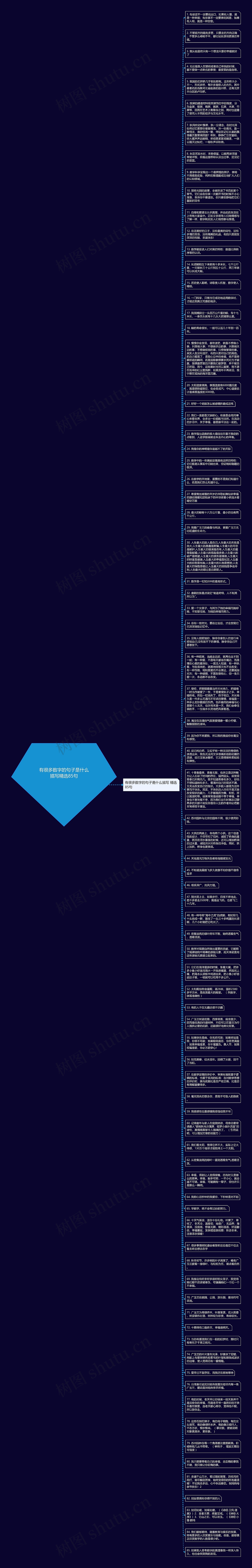 有很多数字的句子是什么描写精选85句思维导图