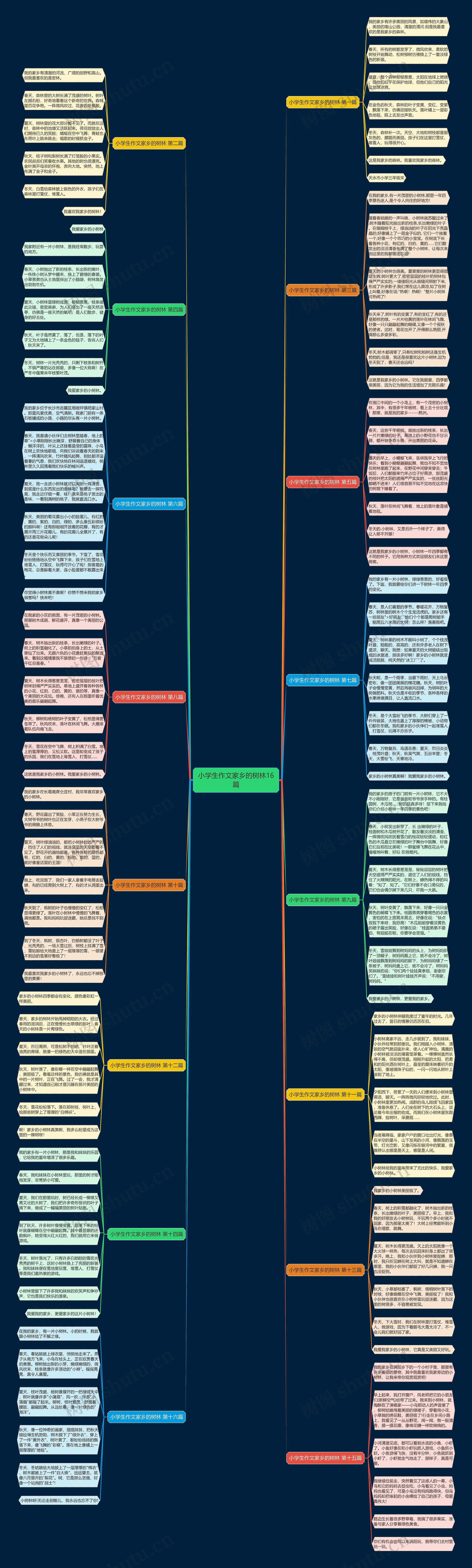 小学生作文家乡的树林16篇思维导图