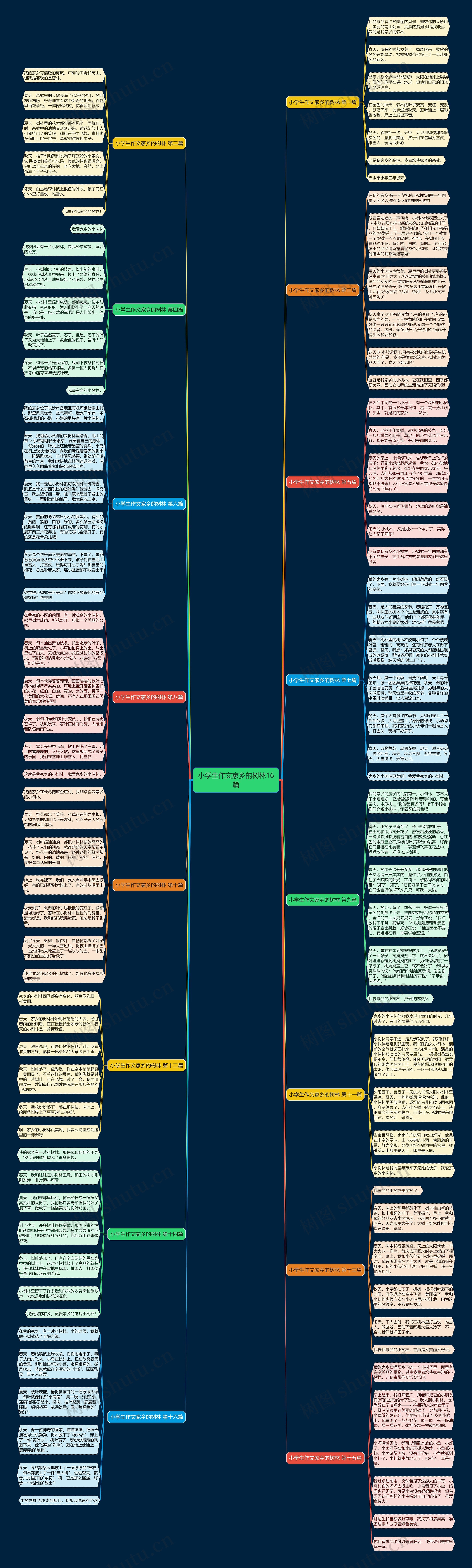小学生作文家乡的树林16篇 小学生作文家乡的树林16篇