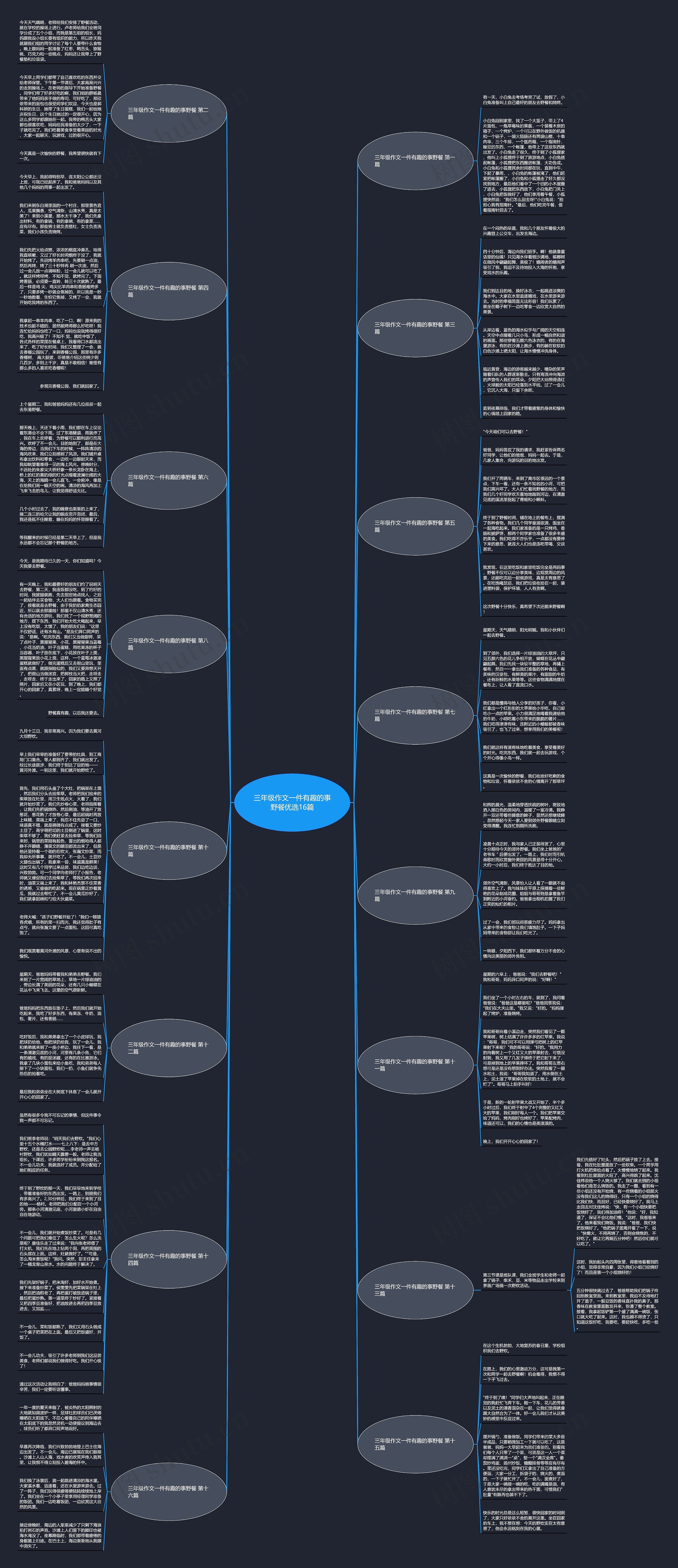 三年级作文一件有趣的事野餐优选16篇思维导图