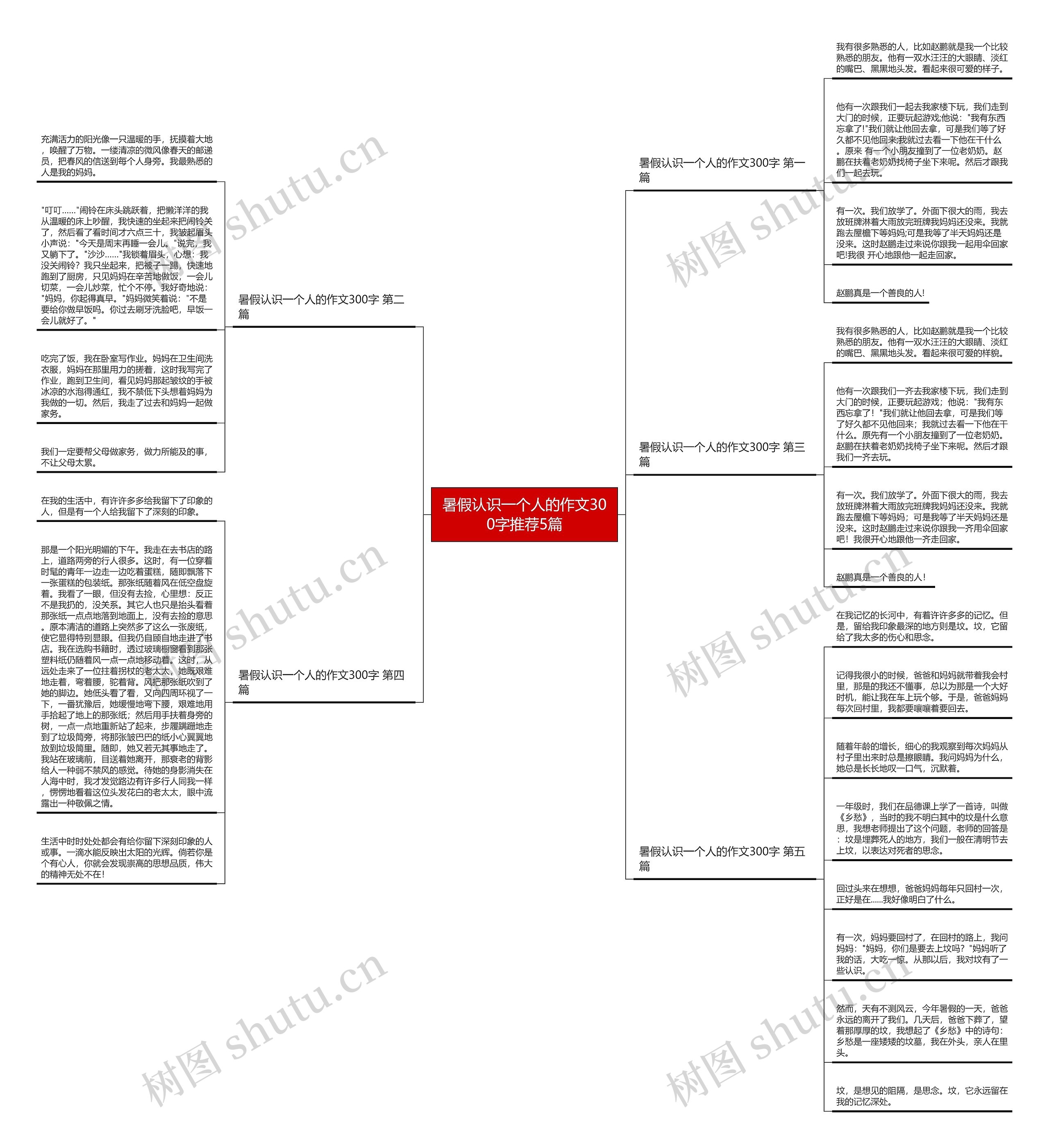 暑假认识一个人的作文300字推荐5篇思维导图