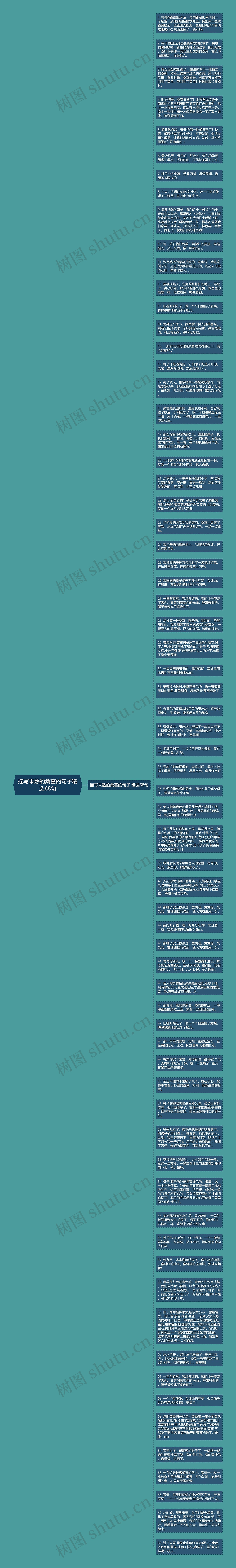 描写未熟的桑葚的句子精选68句