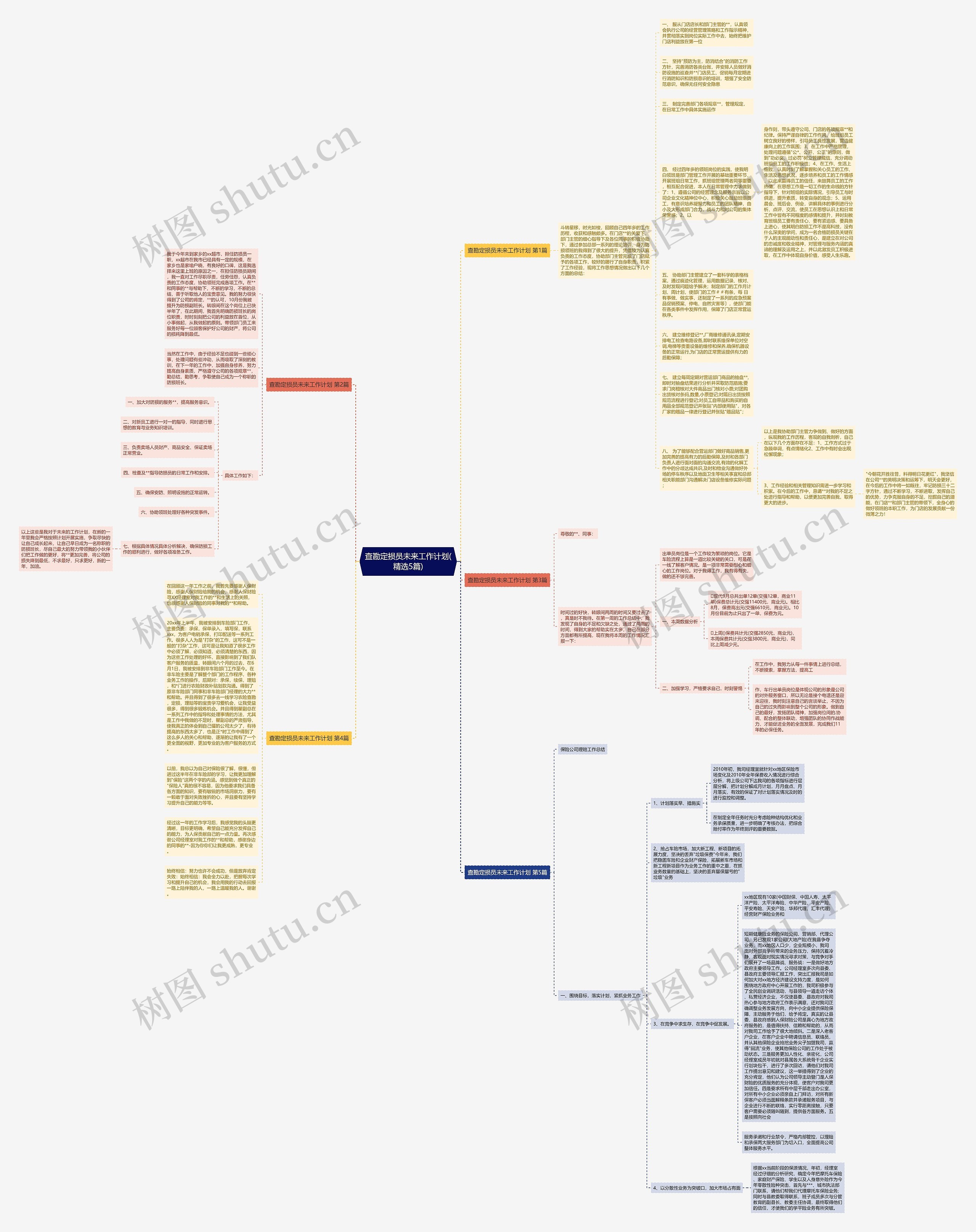 查勘定损员未来工作计划(精选5篇)思维导图